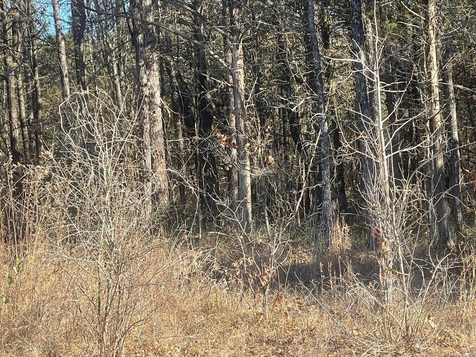 000 Hwy 330 South  Fairfield Bay, AR