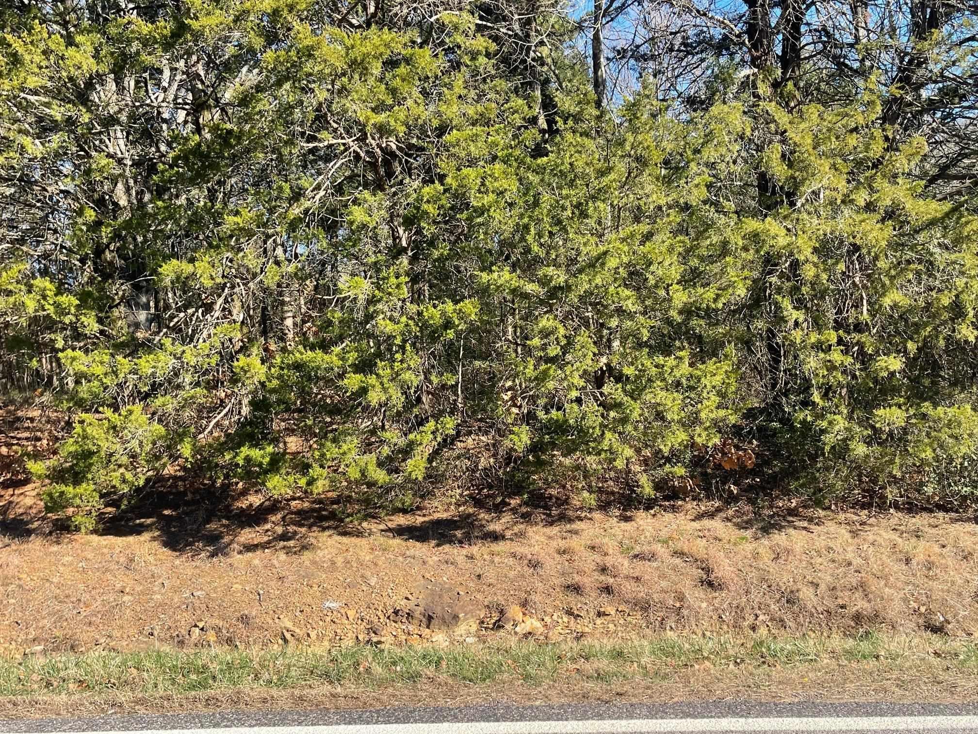 000 Hwy 330 South  Fairfield Bay, AR