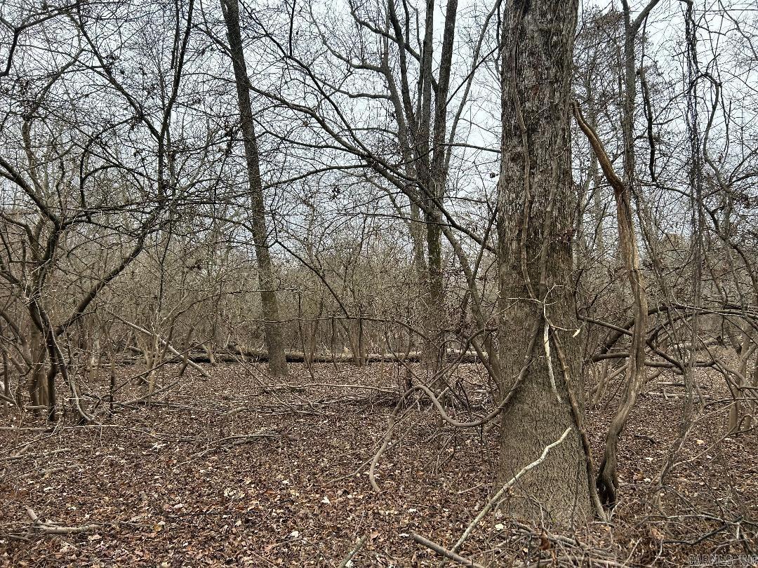 0 Phillips Rd 358  Poplar Grove, AR