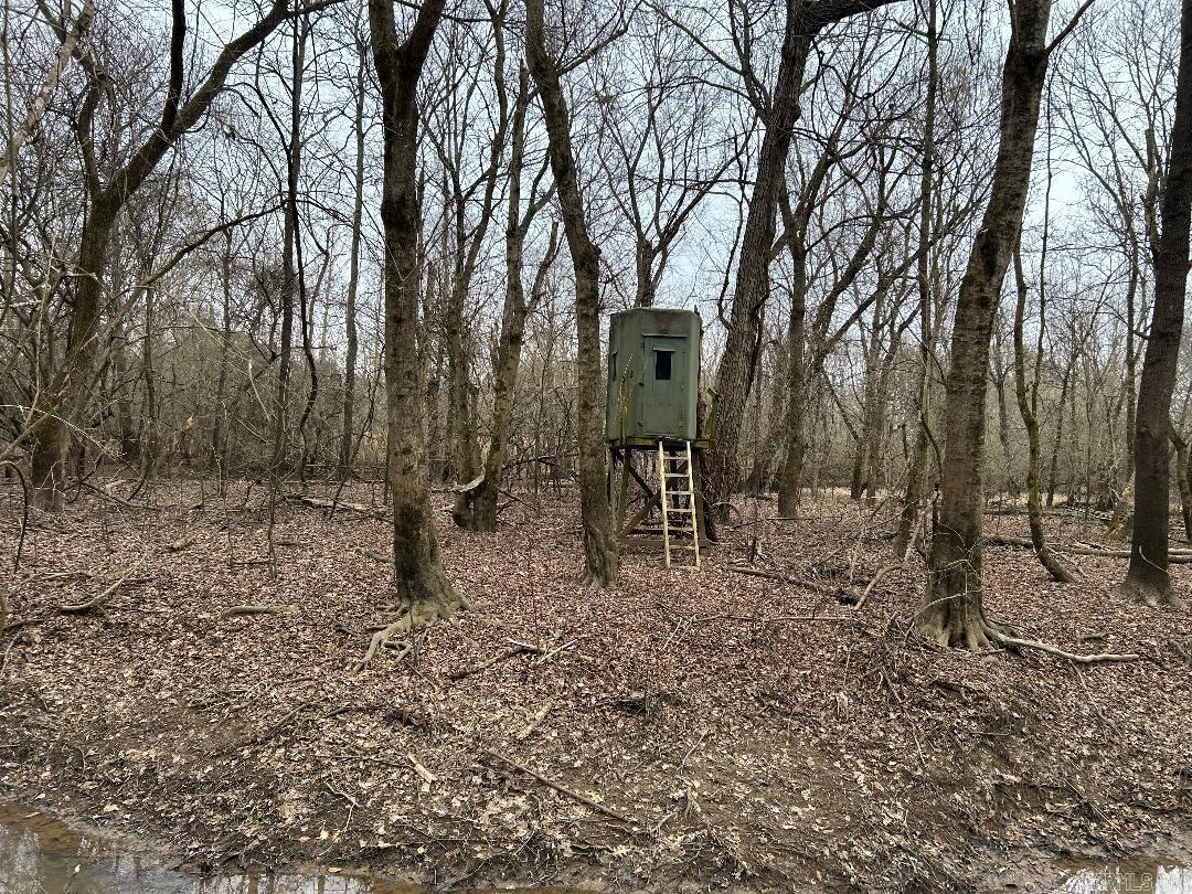 0 Phillips Rd 358  Poplar Grove, AR