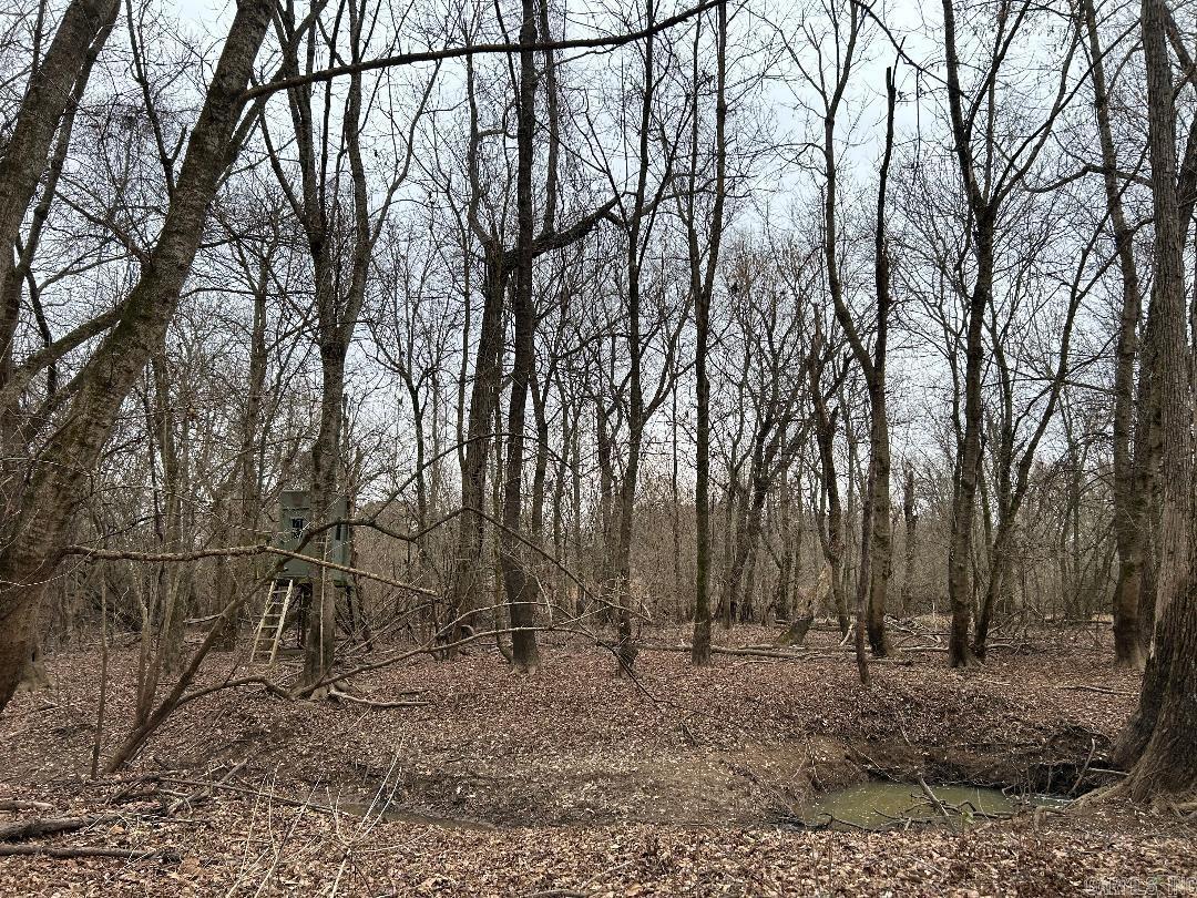 0 Phillips Rd 358  Poplar Grove, AR