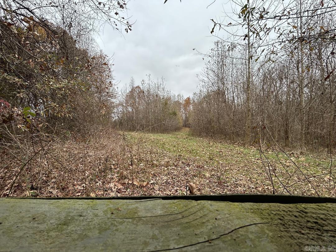 0 Phillips Rd 358  Poplar Grove, AR