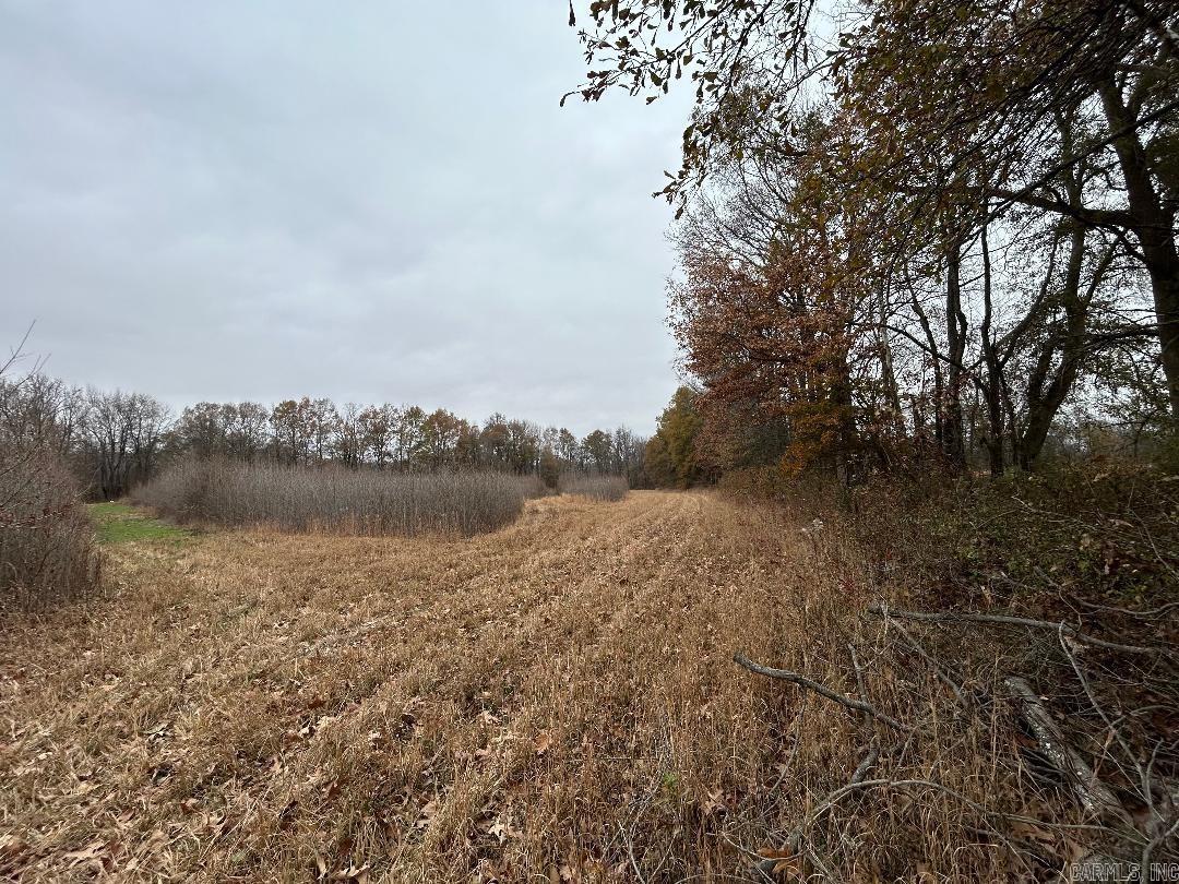 0 Phillips Rd 358  Poplar Grove, AR