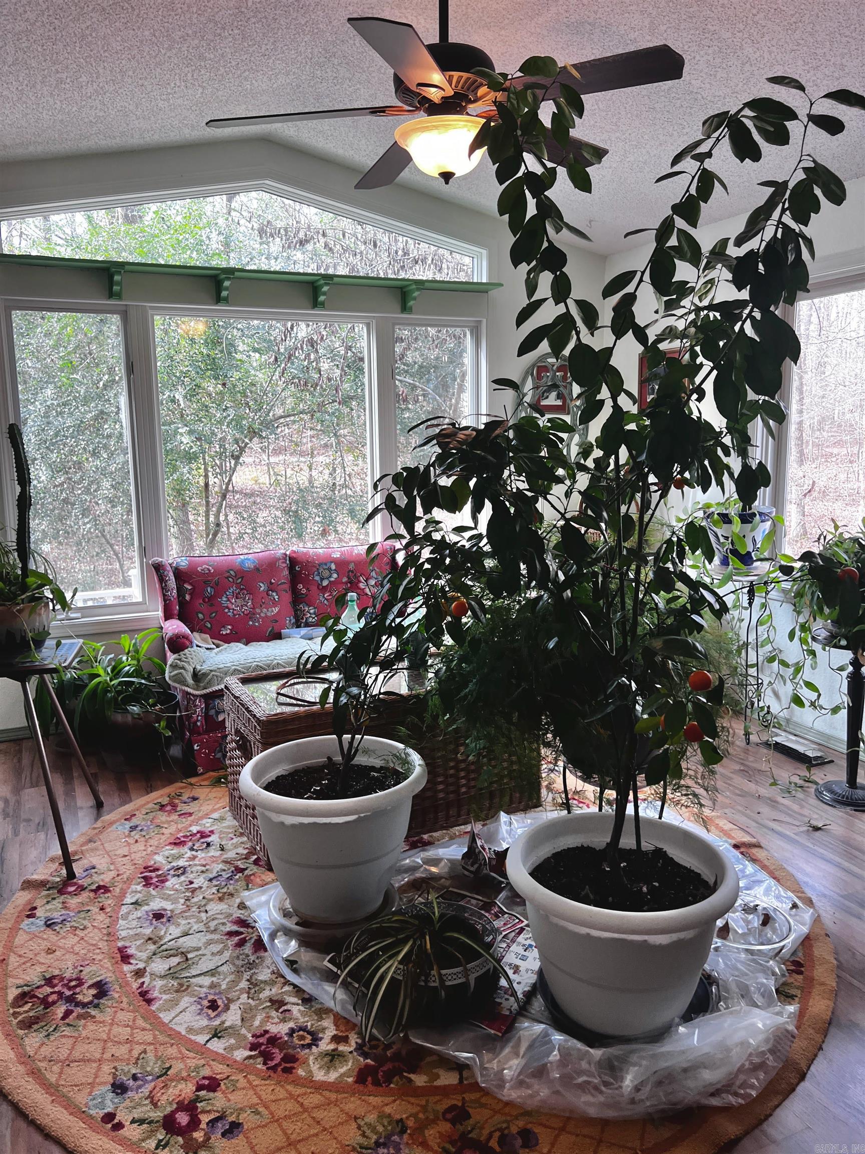 8 Tarifa  Hot Springs Village, AR