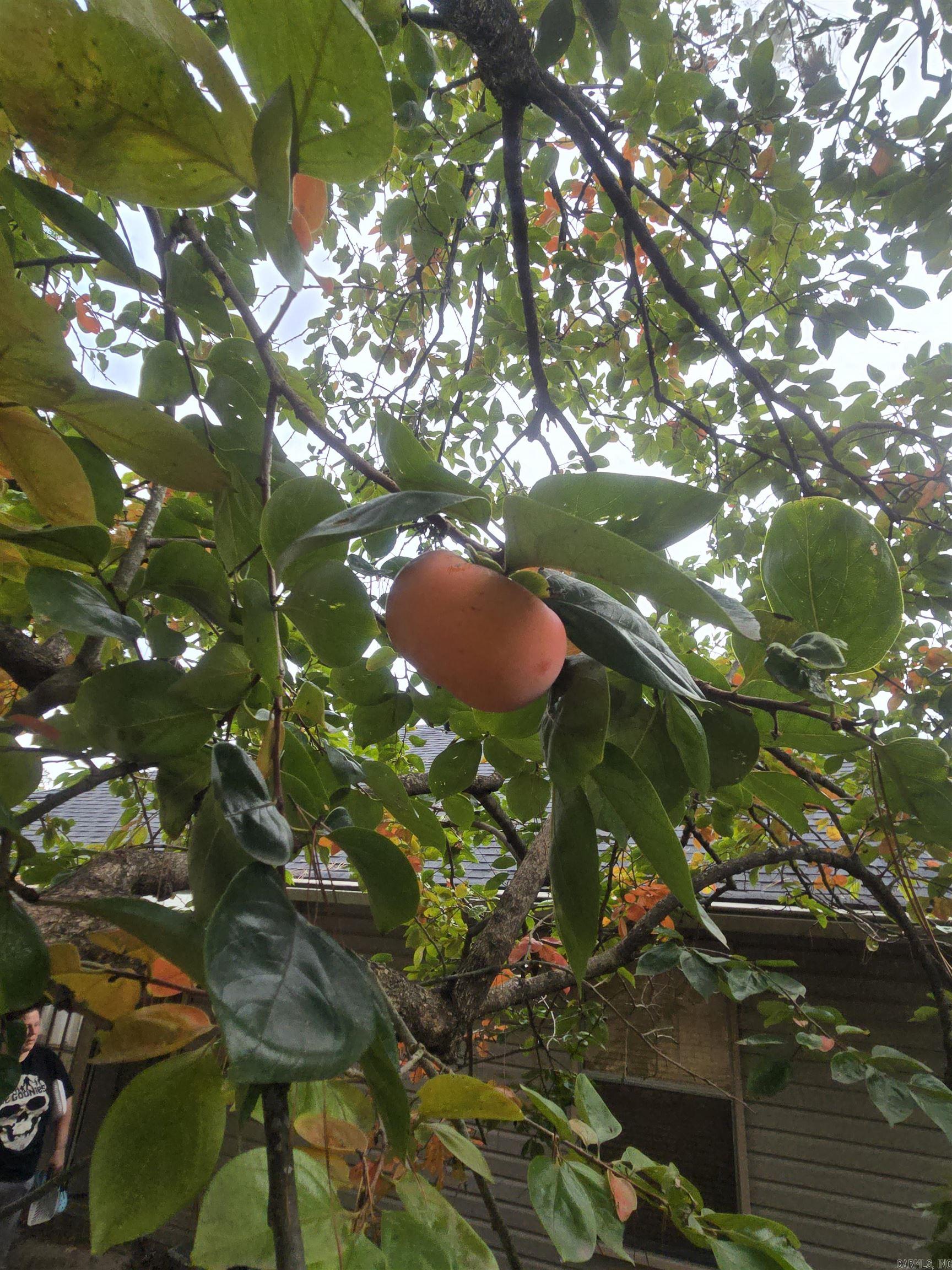 2921 Henson  Bryant, AR