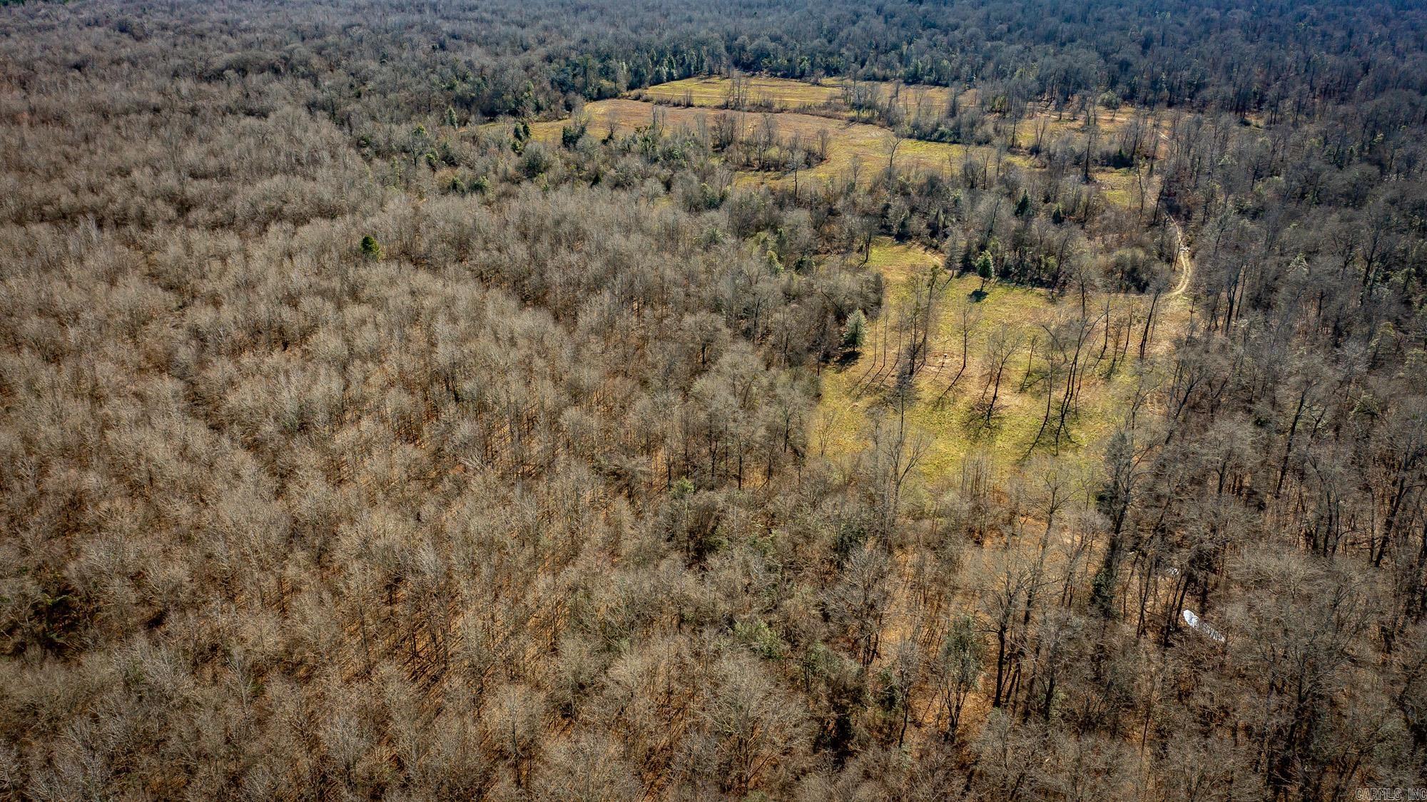  Little Missosur River  Prescott, AR