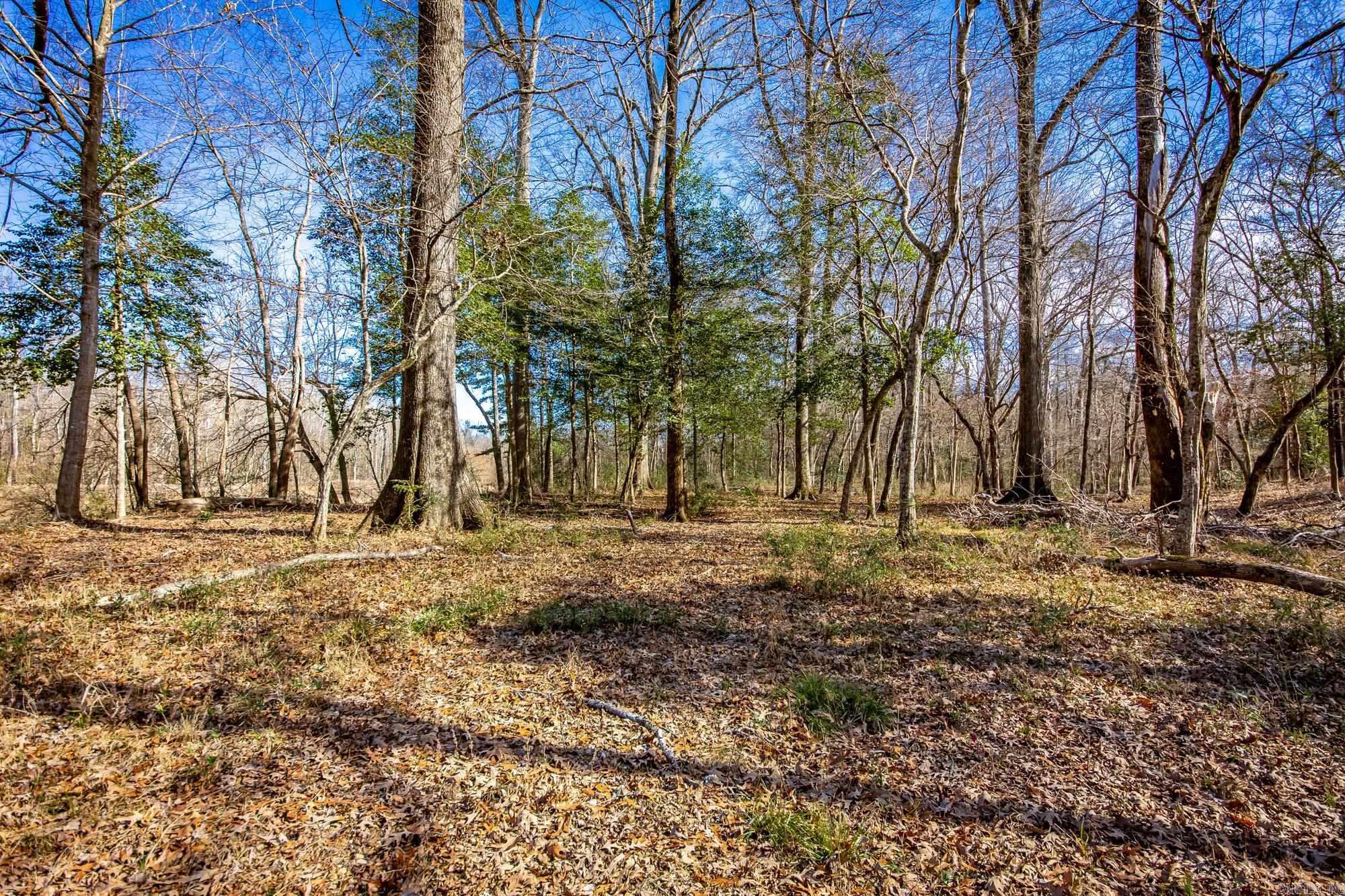  Little Missosur River  Prescott, AR