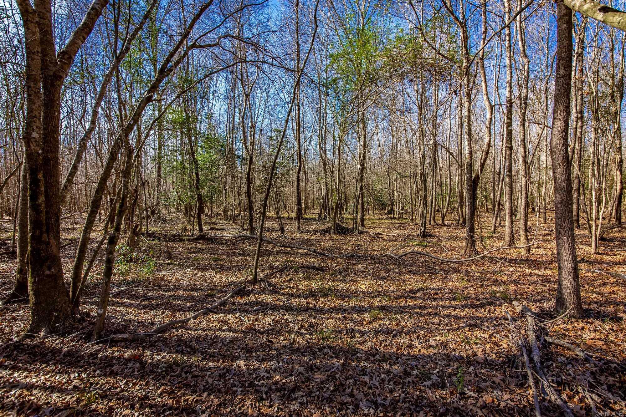 Little Missosur River  Prescott, AR