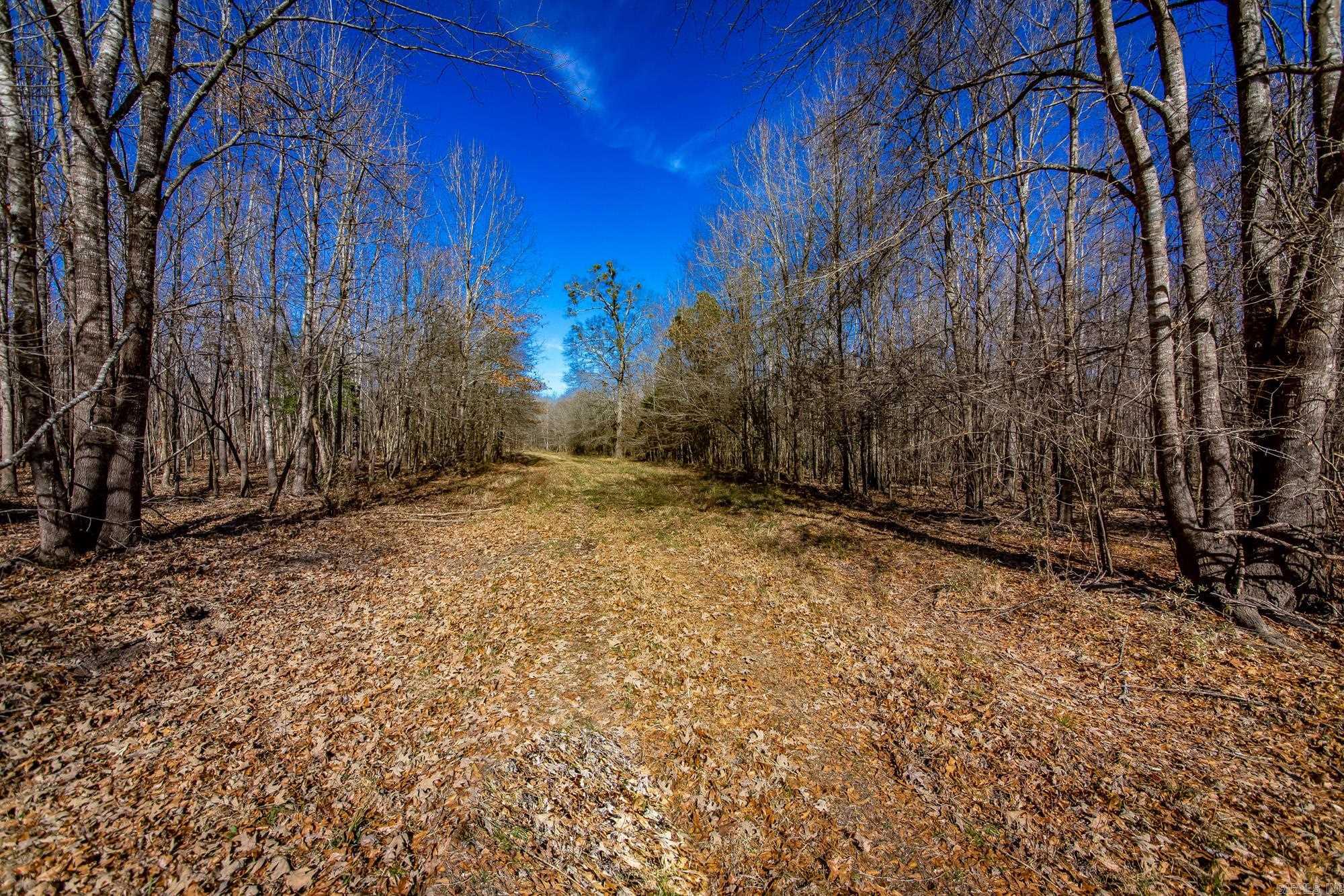  Little Missosur River  Prescott, AR