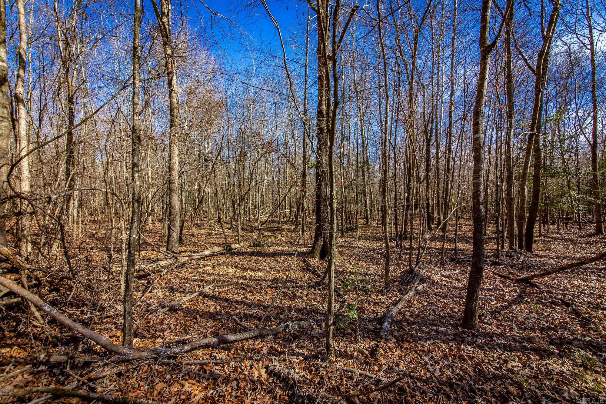  Little Missosur River  Prescott, AR