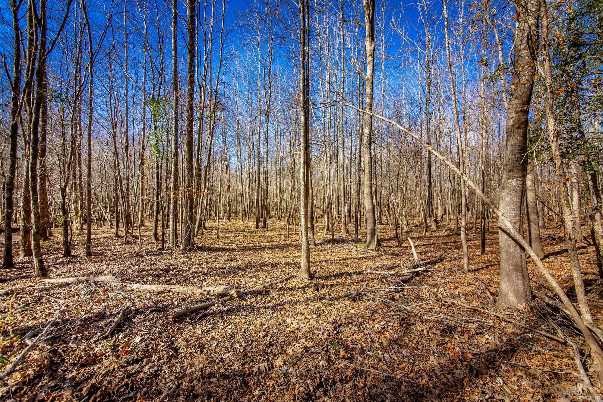  Little Missosur River  Prescott, AR