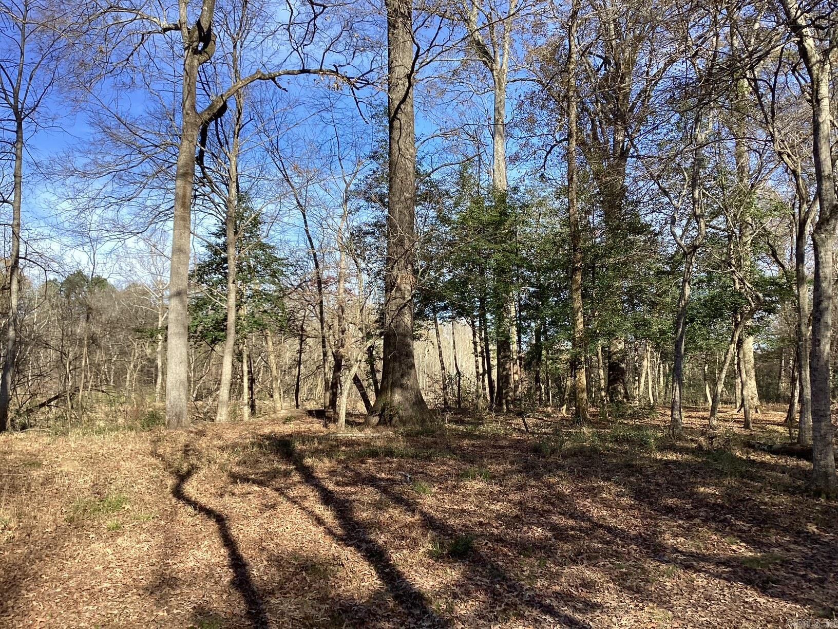  Little Missosur River  Prescott, AR