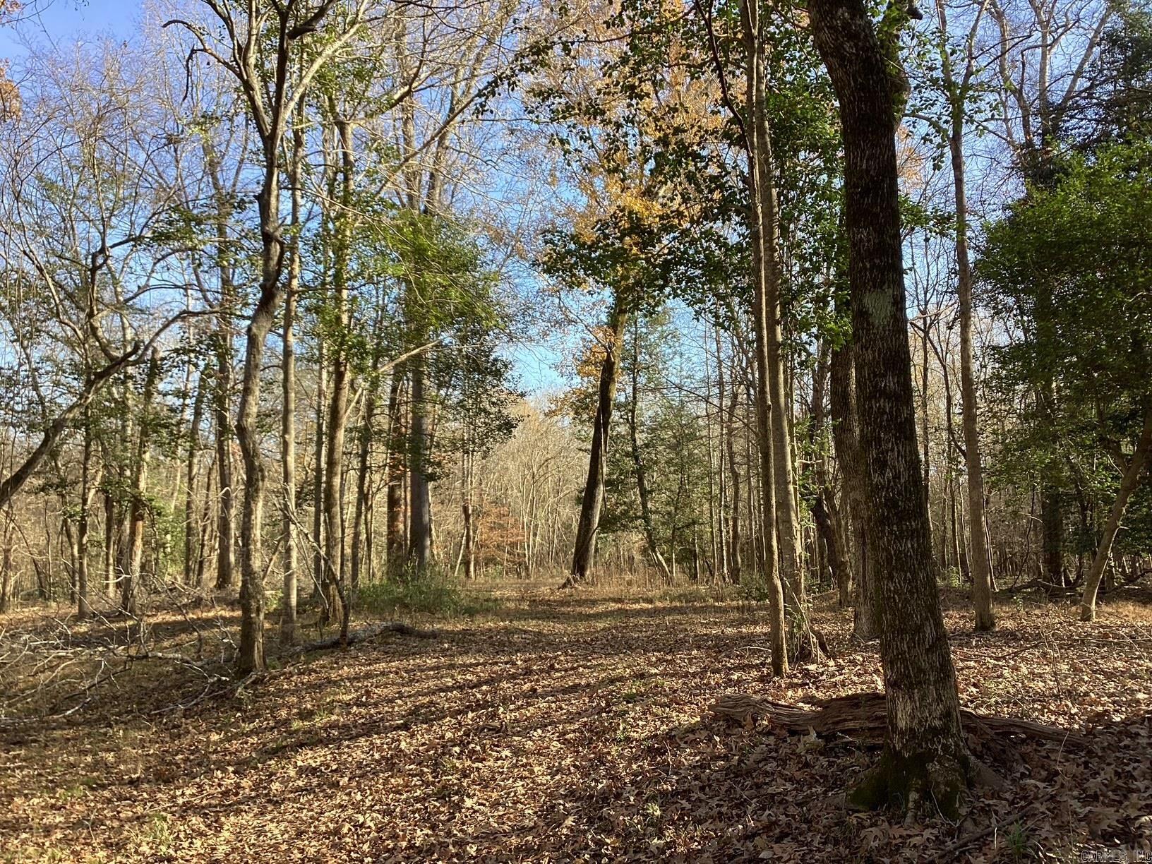  Little Missosur River  Prescott, AR