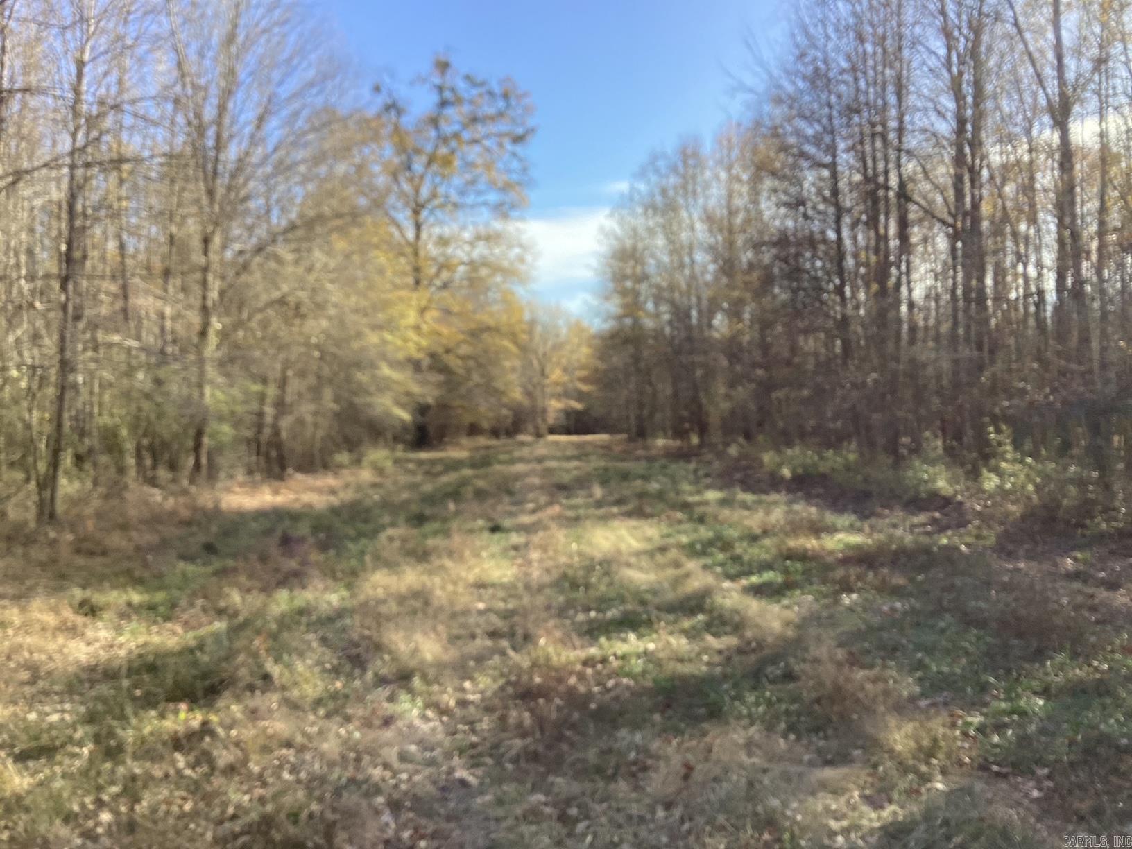  Little Missosur River  Prescott, AR