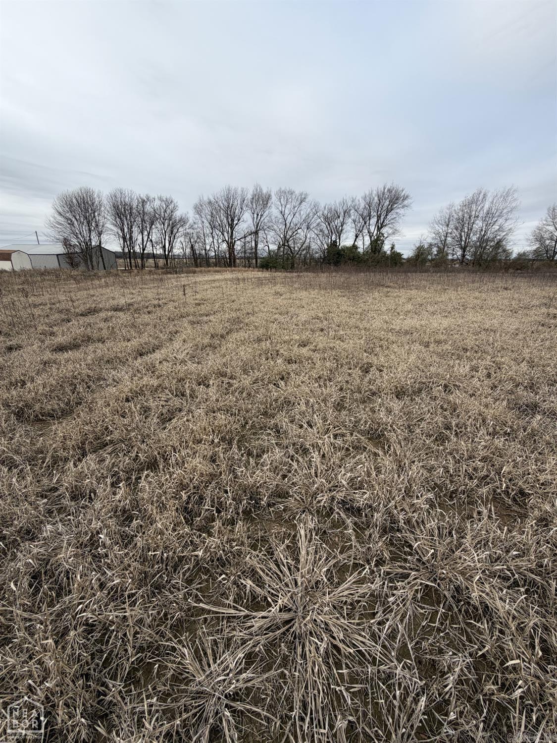 1 South Hwy 91  Walnut Ridge, AR