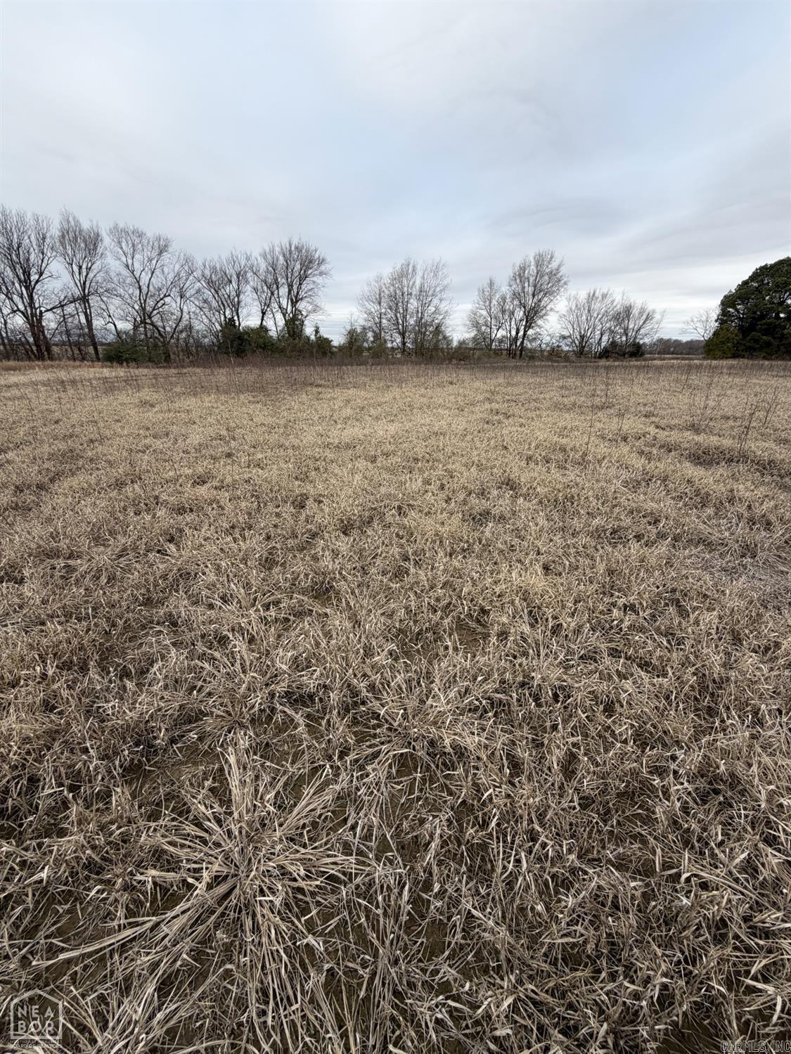 1 South Hwy 91  Walnut Ridge, AR