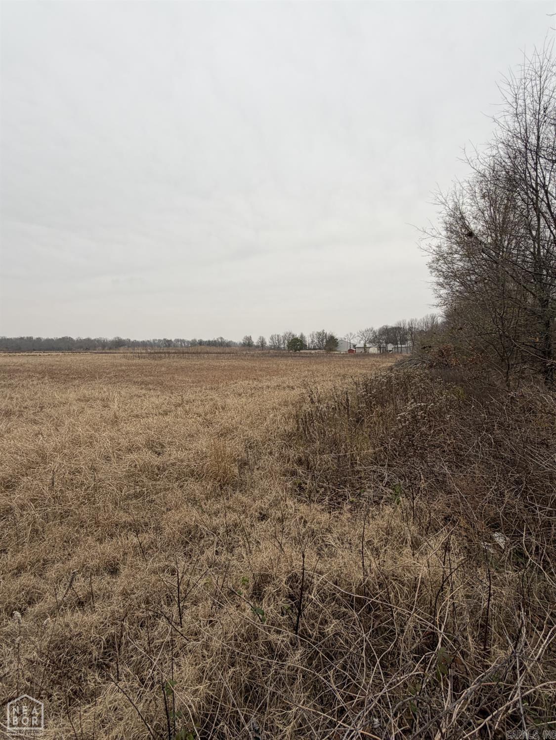 1 North Hwy 91  Walnut Ridge, AR