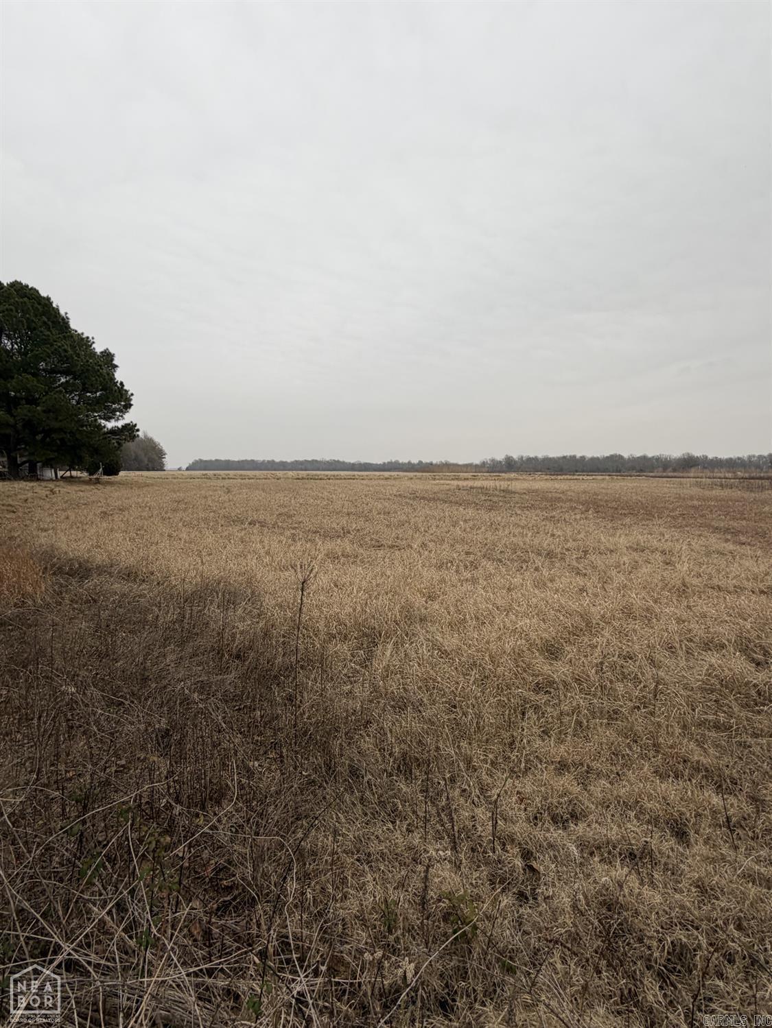 1 North Hwy 91  Walnut Ridge, AR