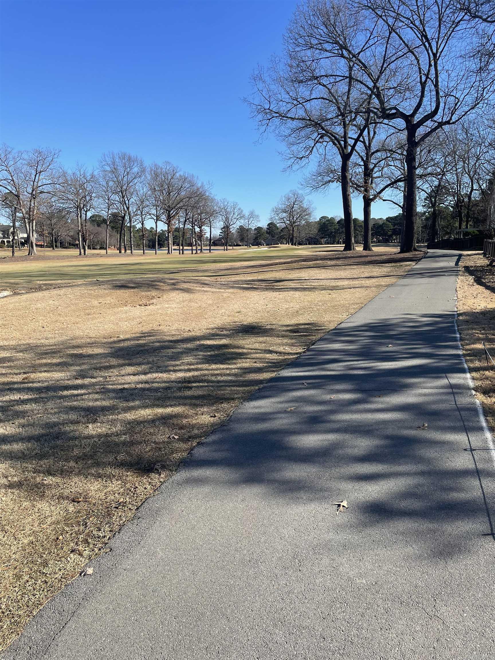 45 FAIRWAY WOODS  Maumelle, AR