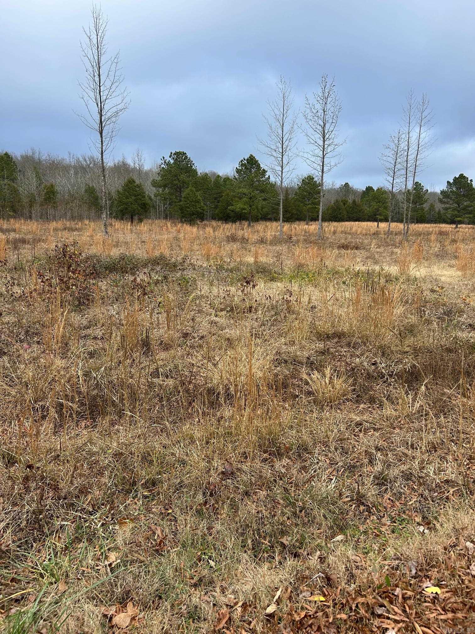 3 Rivers Edge  Vilonia, AR