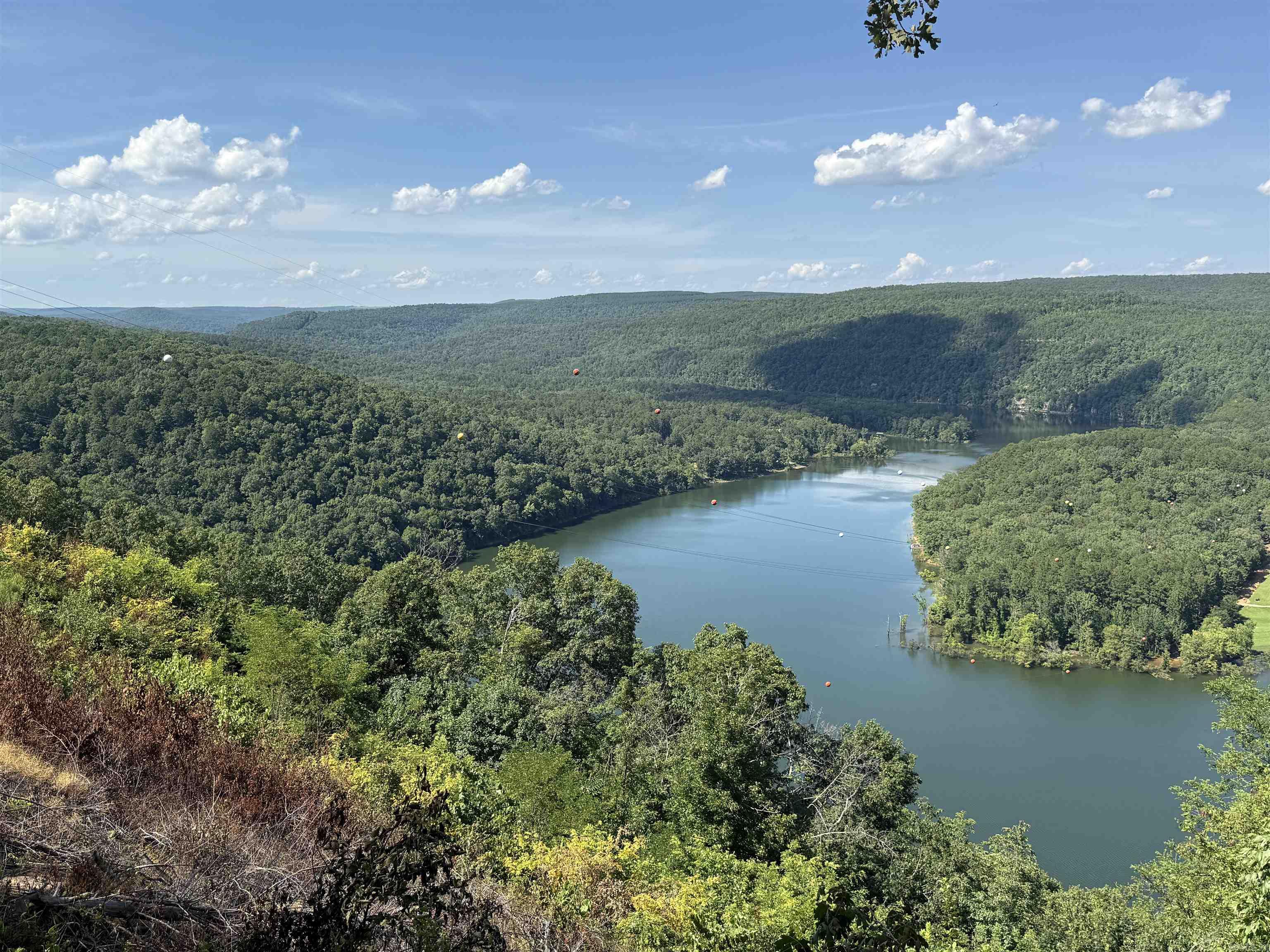 301 Watersedge Drive  Edgemont, AR