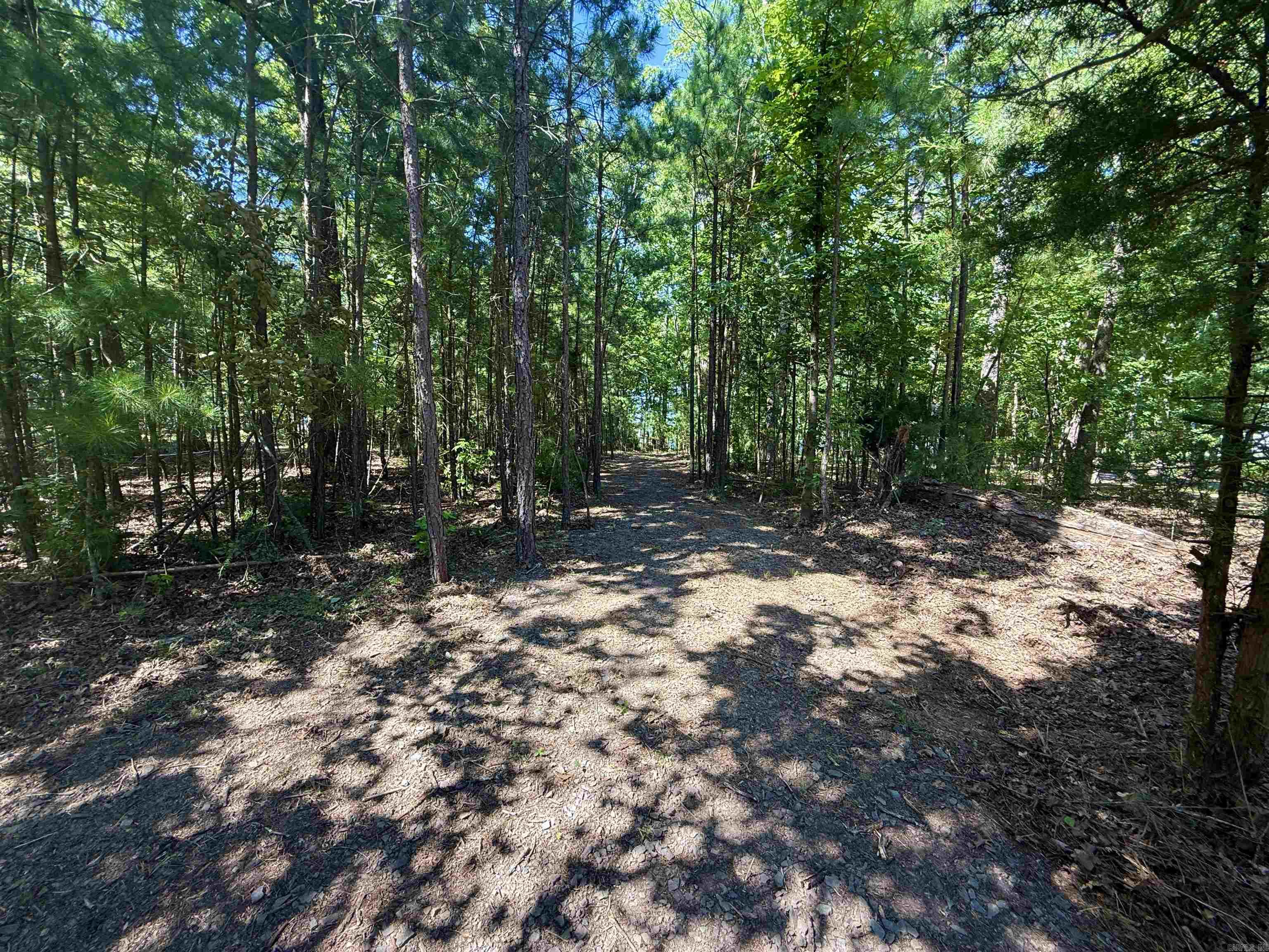 301 Watersedge Drive  Edgemont, AR