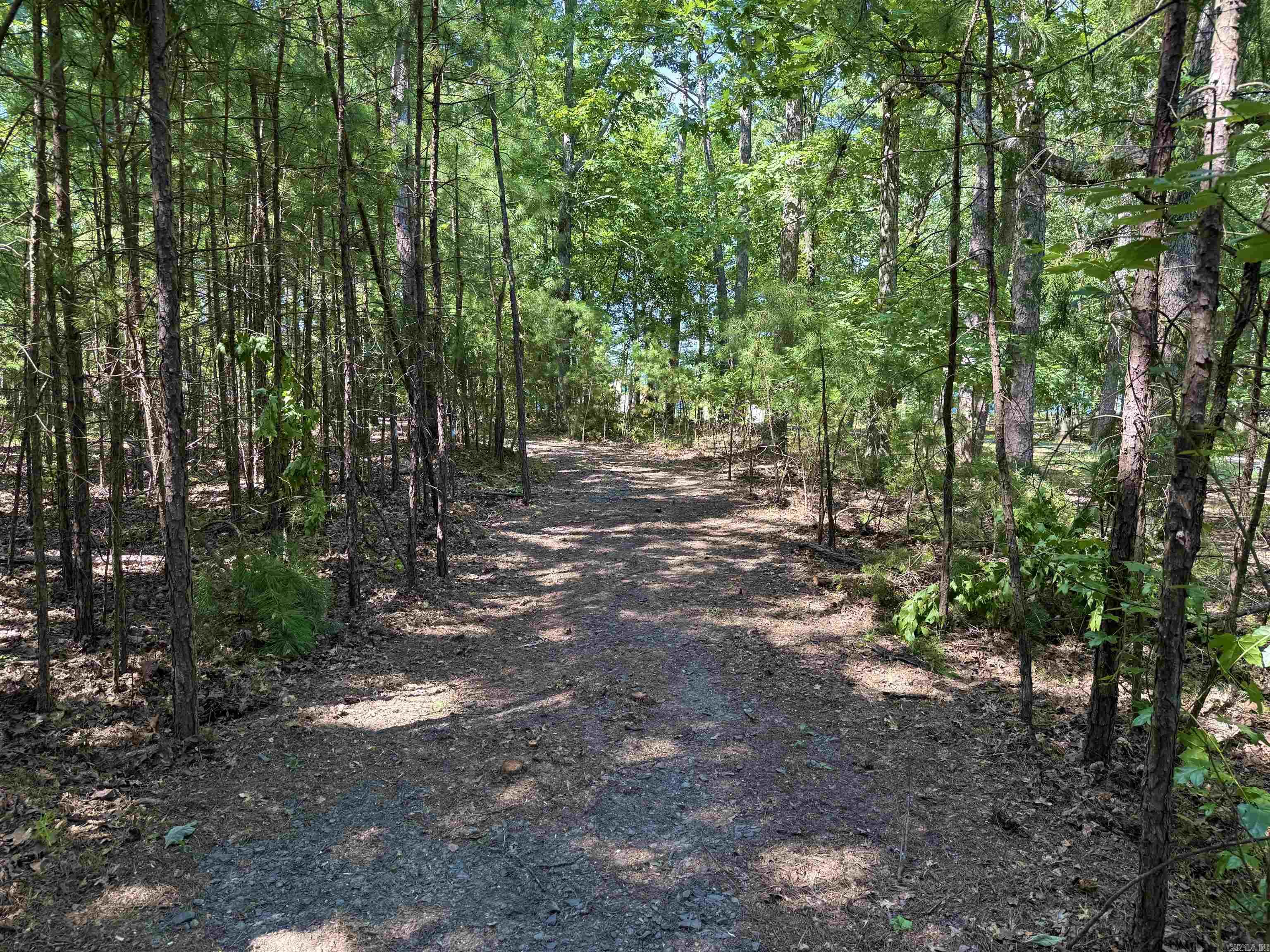 301 Watersedge Drive  Edgemont, AR