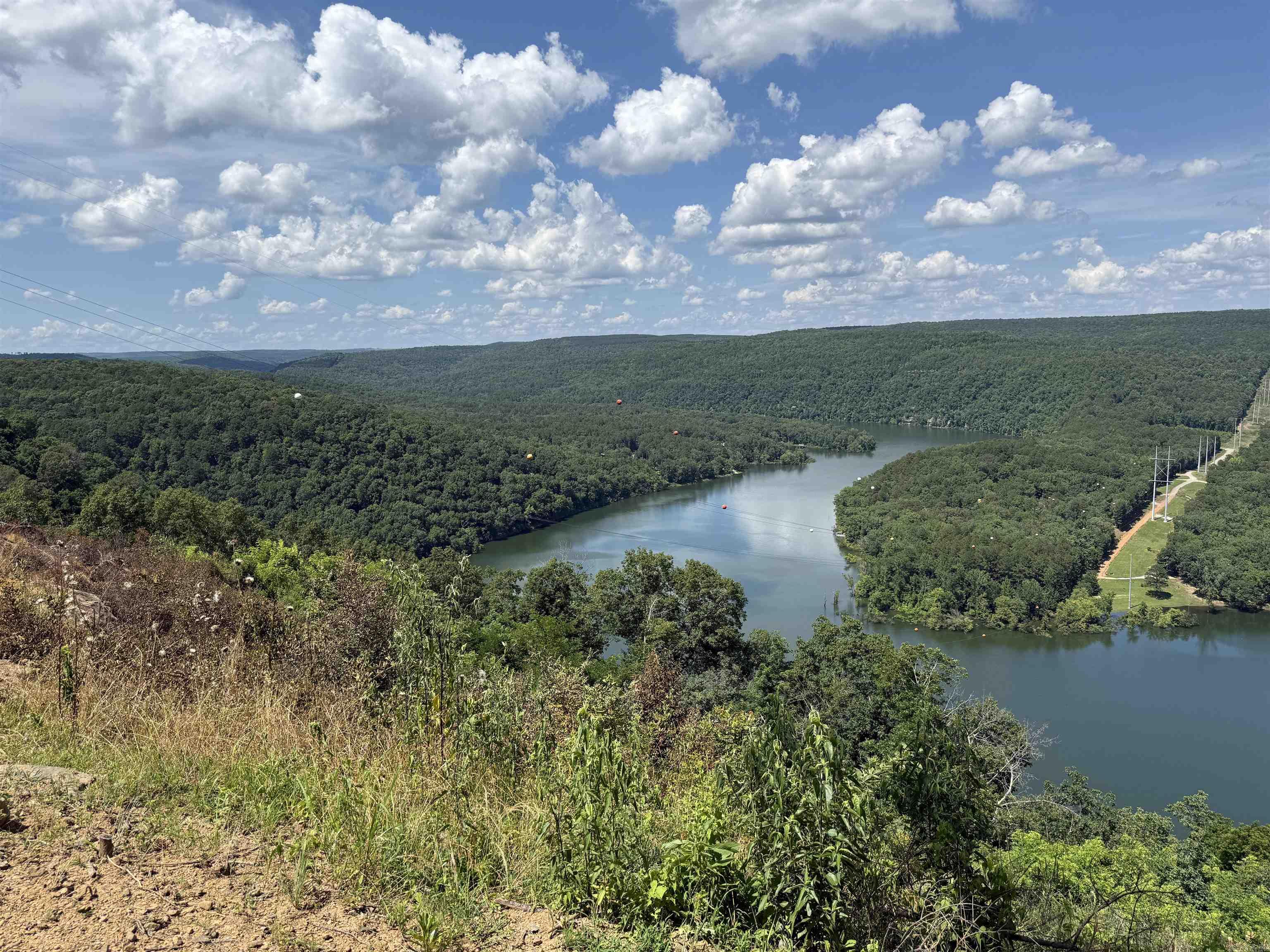 301 Watersedge Drive  Edgemont, AR