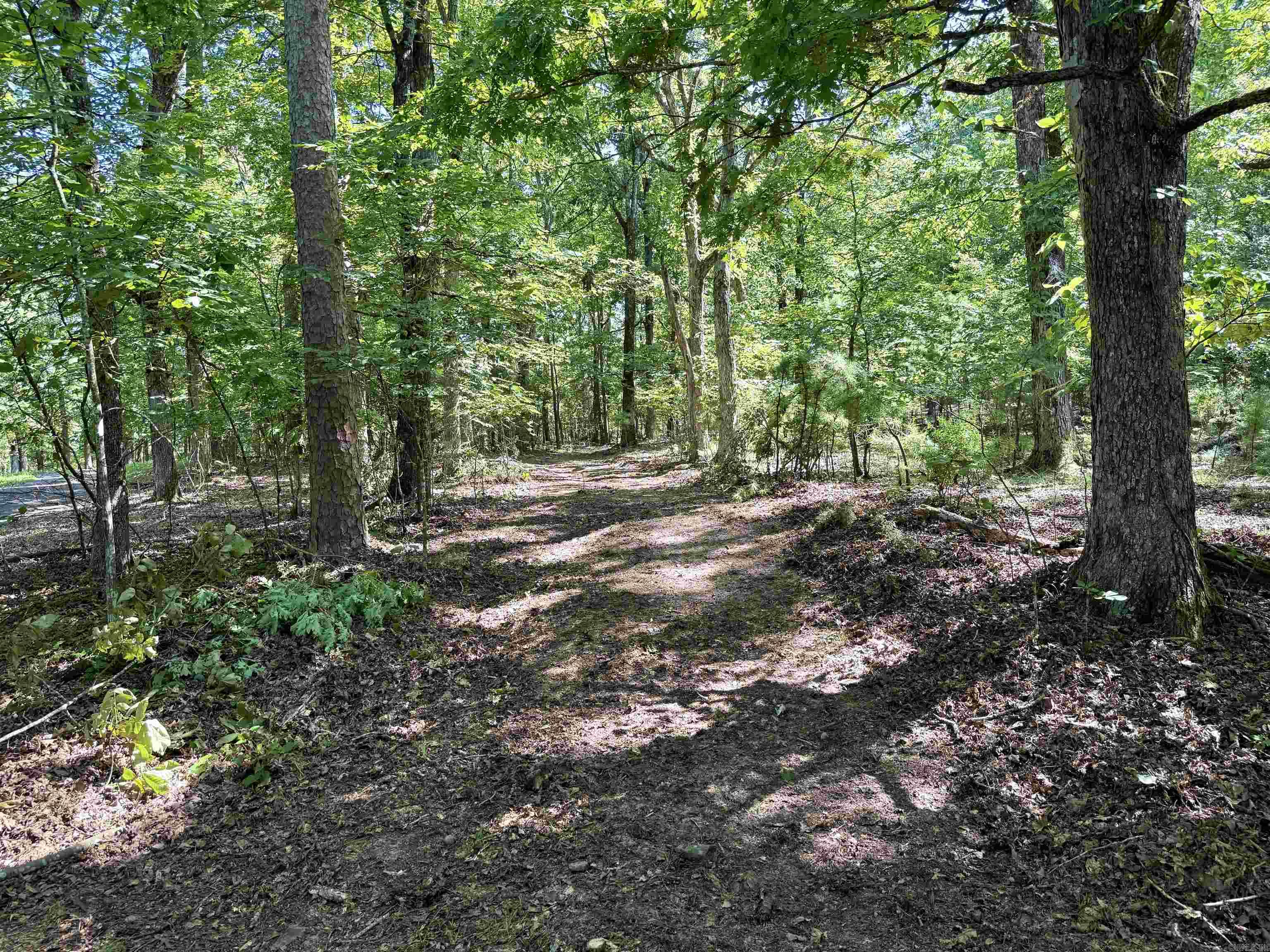 301 Watersedge Drive  Edgemont, AR