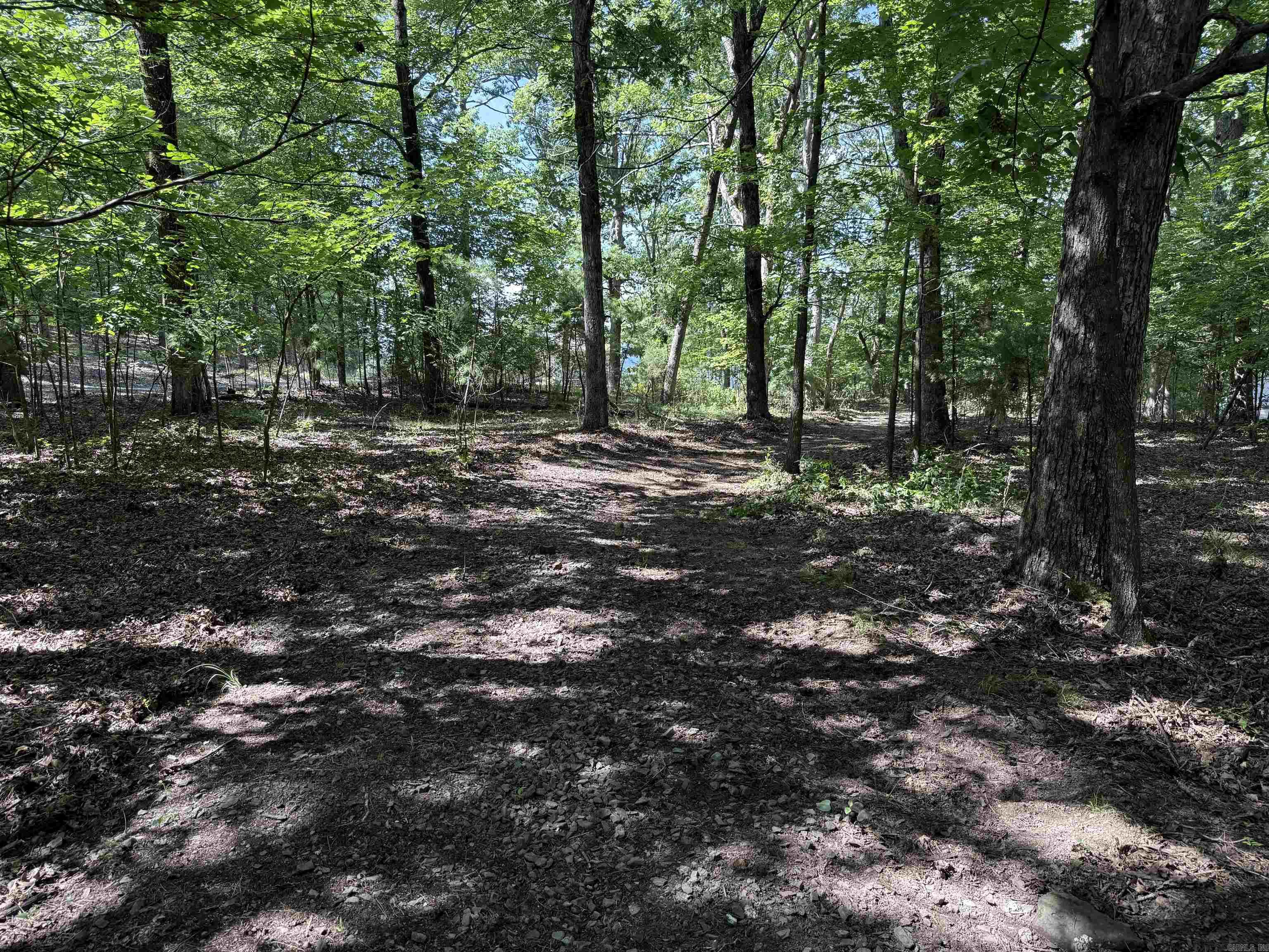 301 Watersedge Drive  Edgemont, AR