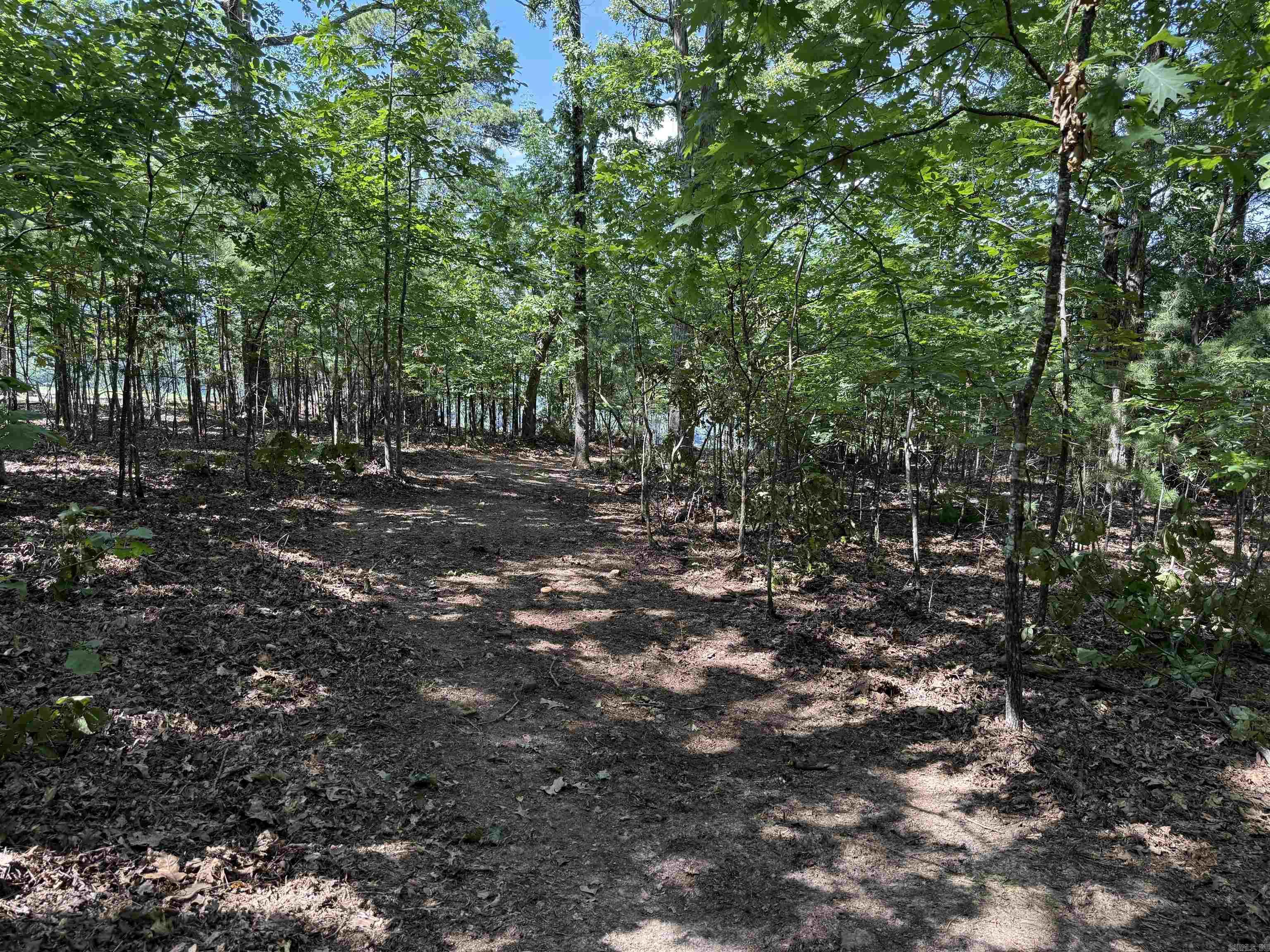 301 Watersedge Drive  Edgemont, AR