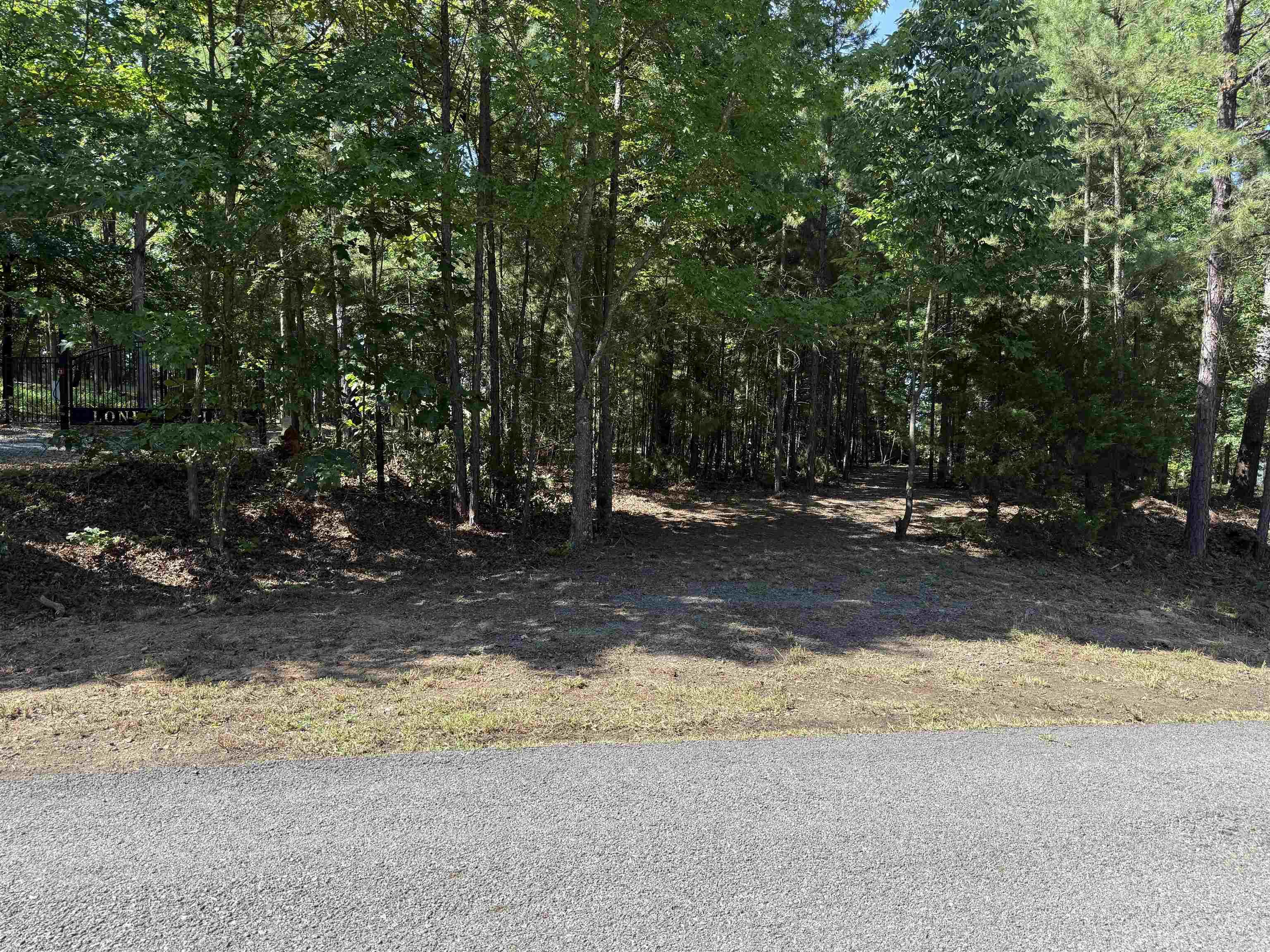 301 Watersedge Drive  Edgemont, AR