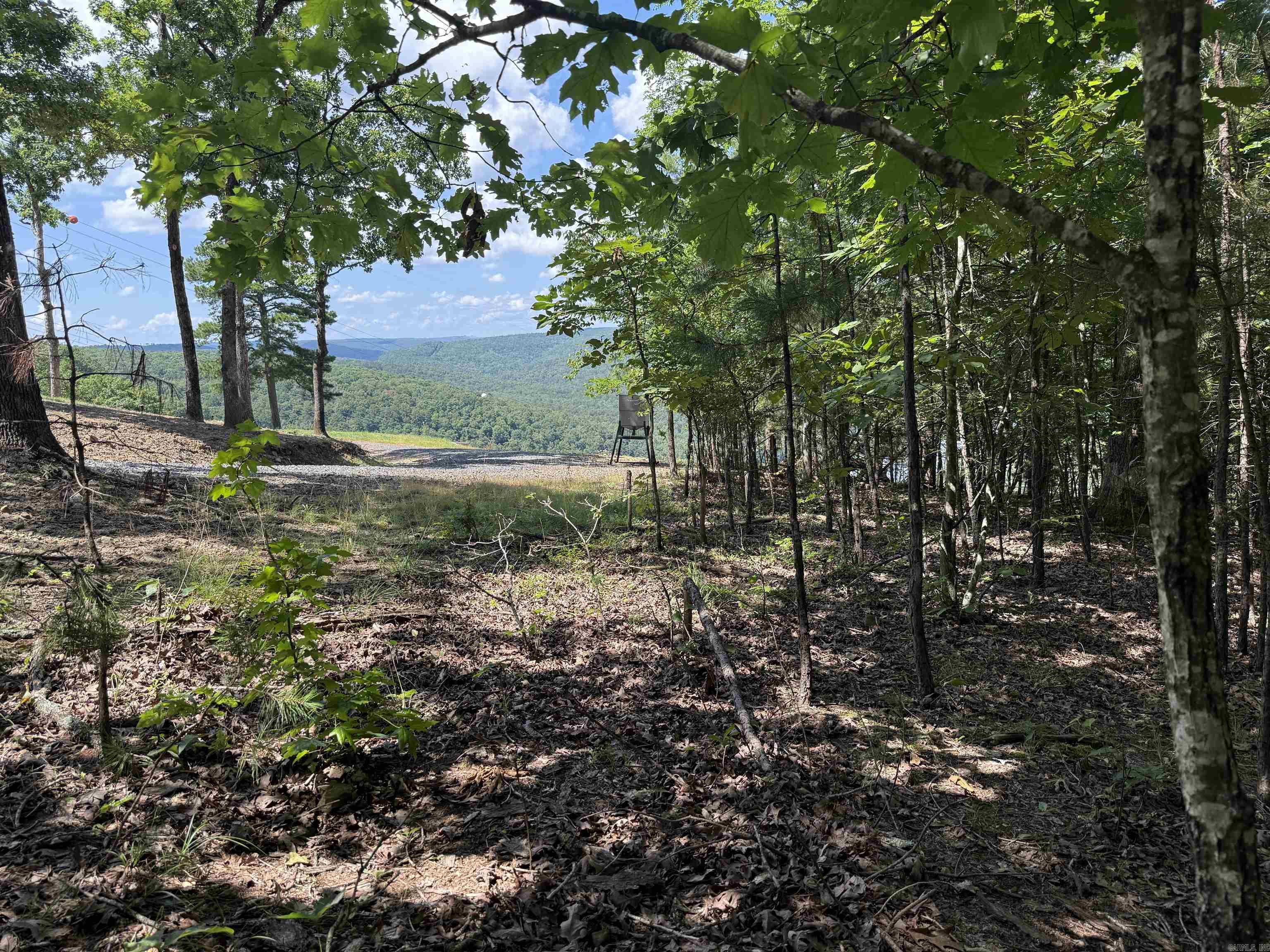 301 Watersedge Drive  Edgemont, AR