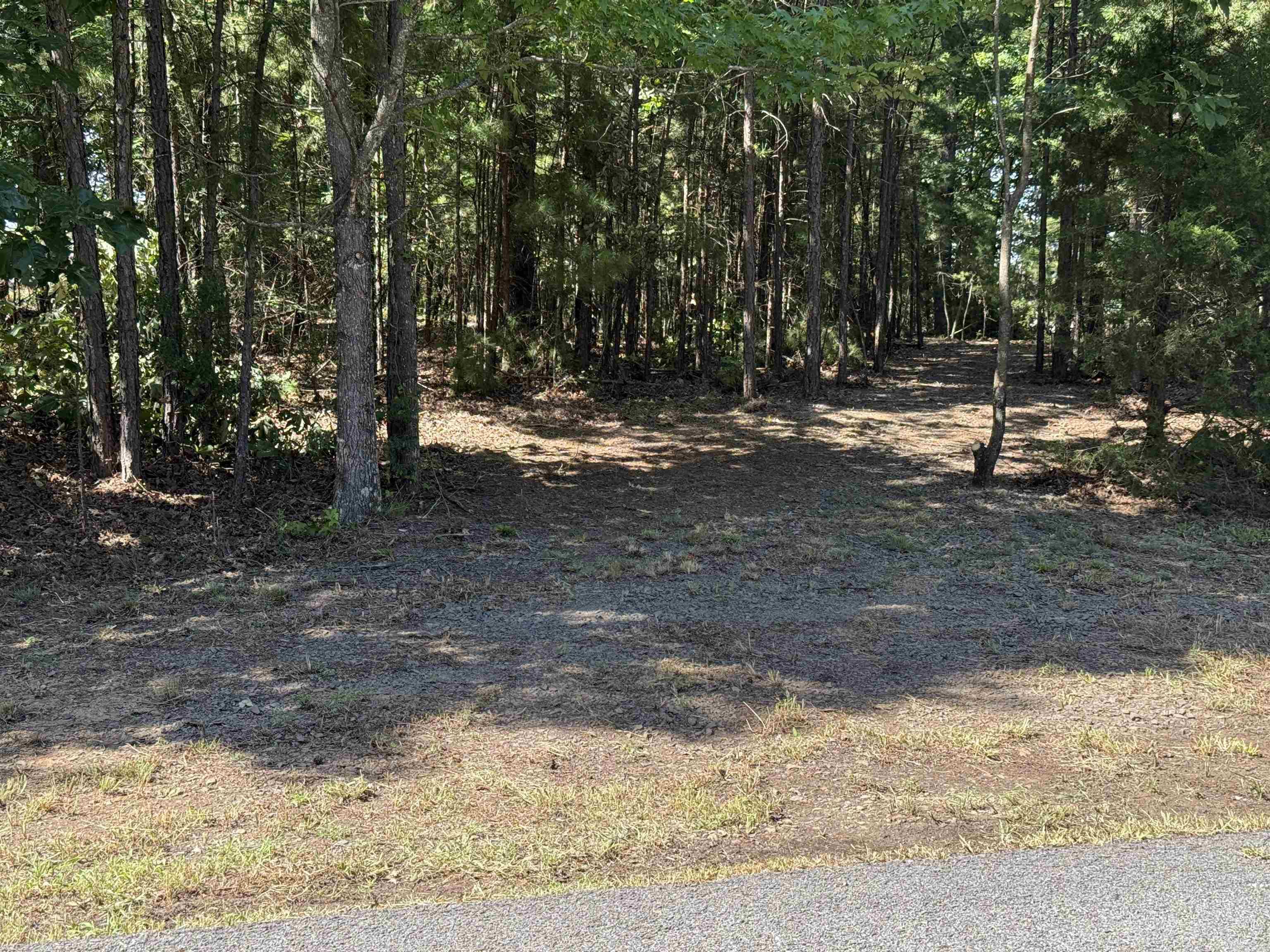 301 Watersedge Drive  Edgemont, AR