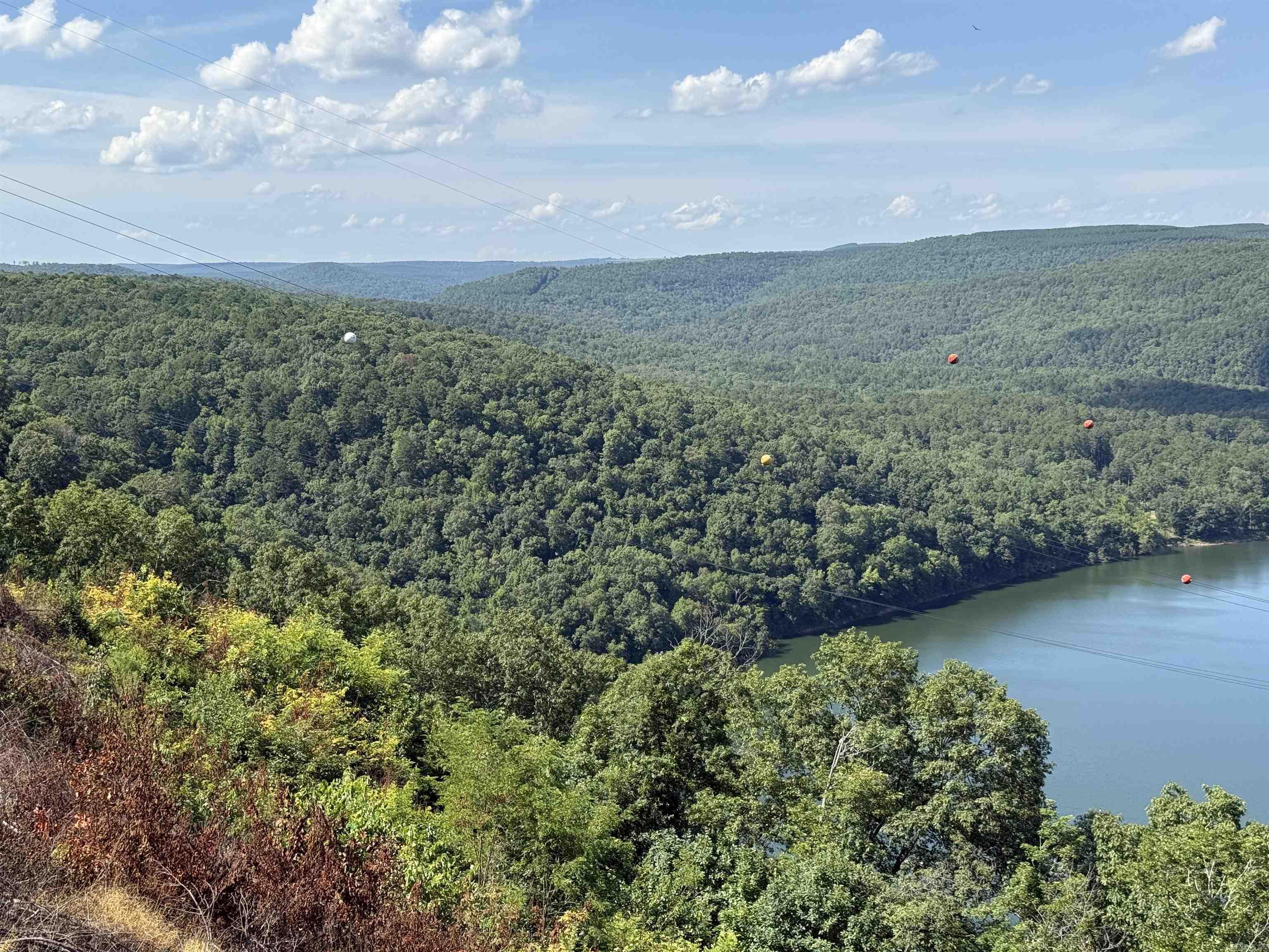 301 Watersedge Drive  Edgemont, AR