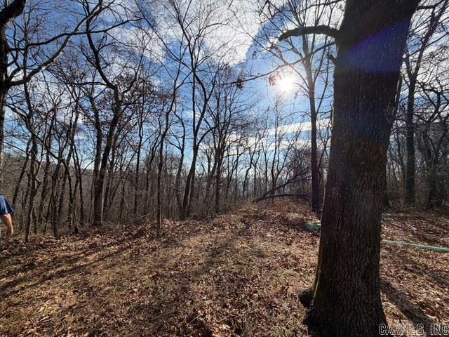 000 CR5570  Ozone, AR