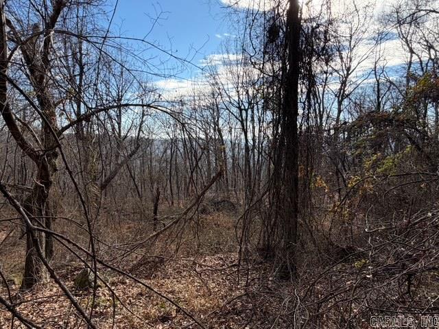 000 CR5570  Ozone, AR