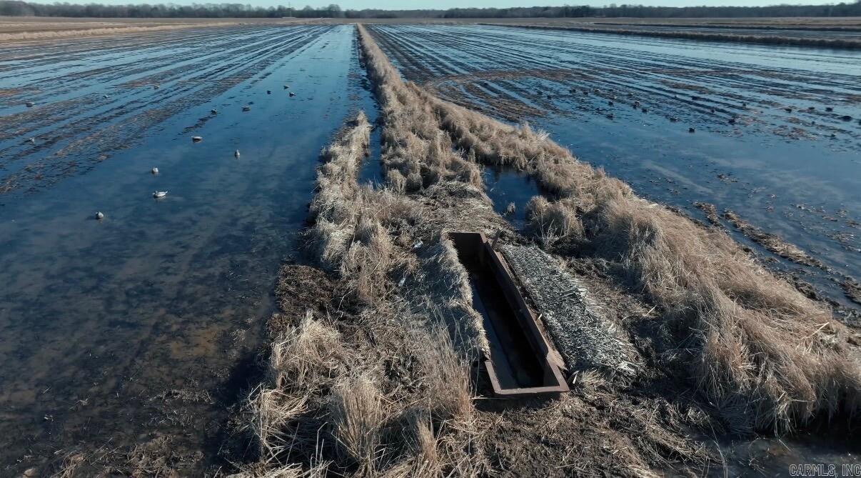 000 County Road 118  Corning, AR