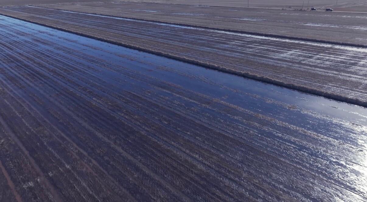 000 County Road 118  Corning, AR