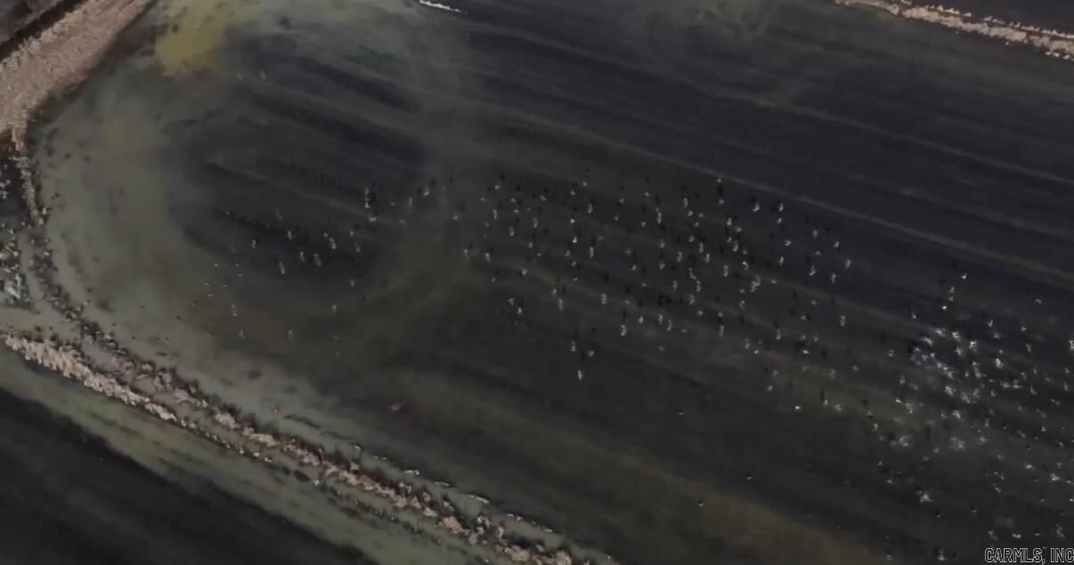 000 County Road 113  Corning, AR