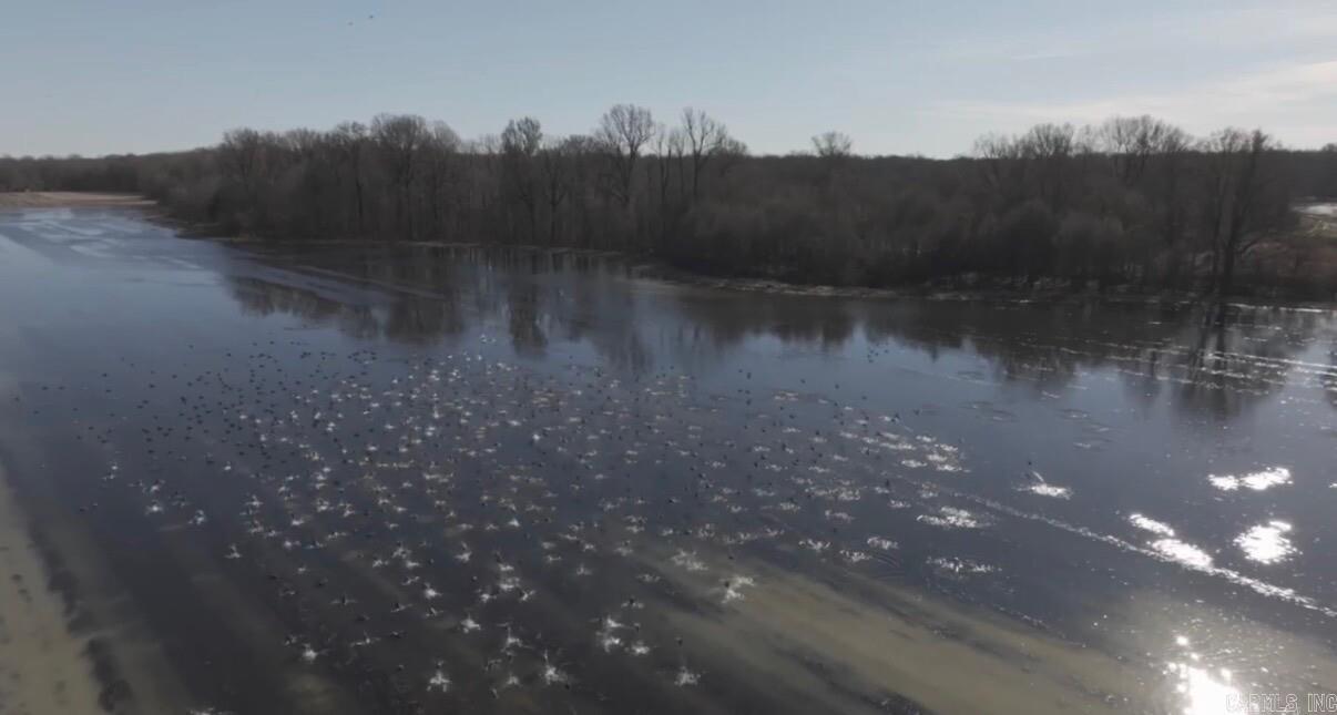 000 County Road 113  Corning, AR