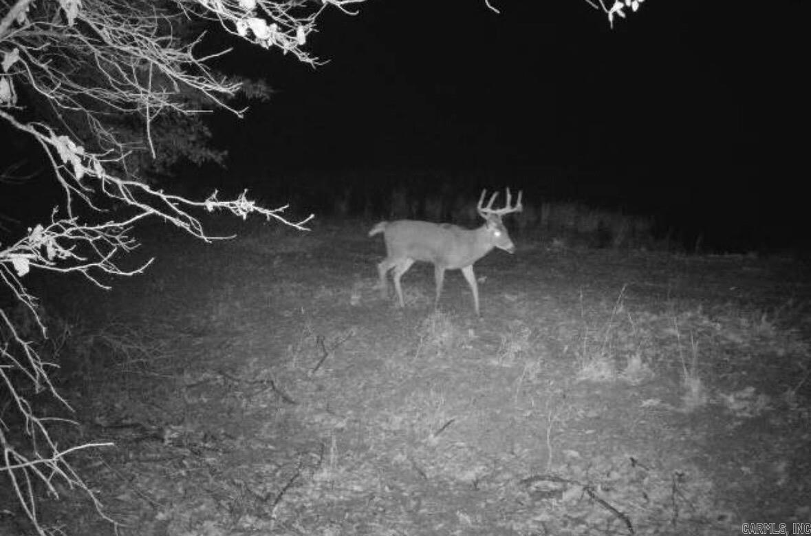 000 County Road 113  Corning, AR