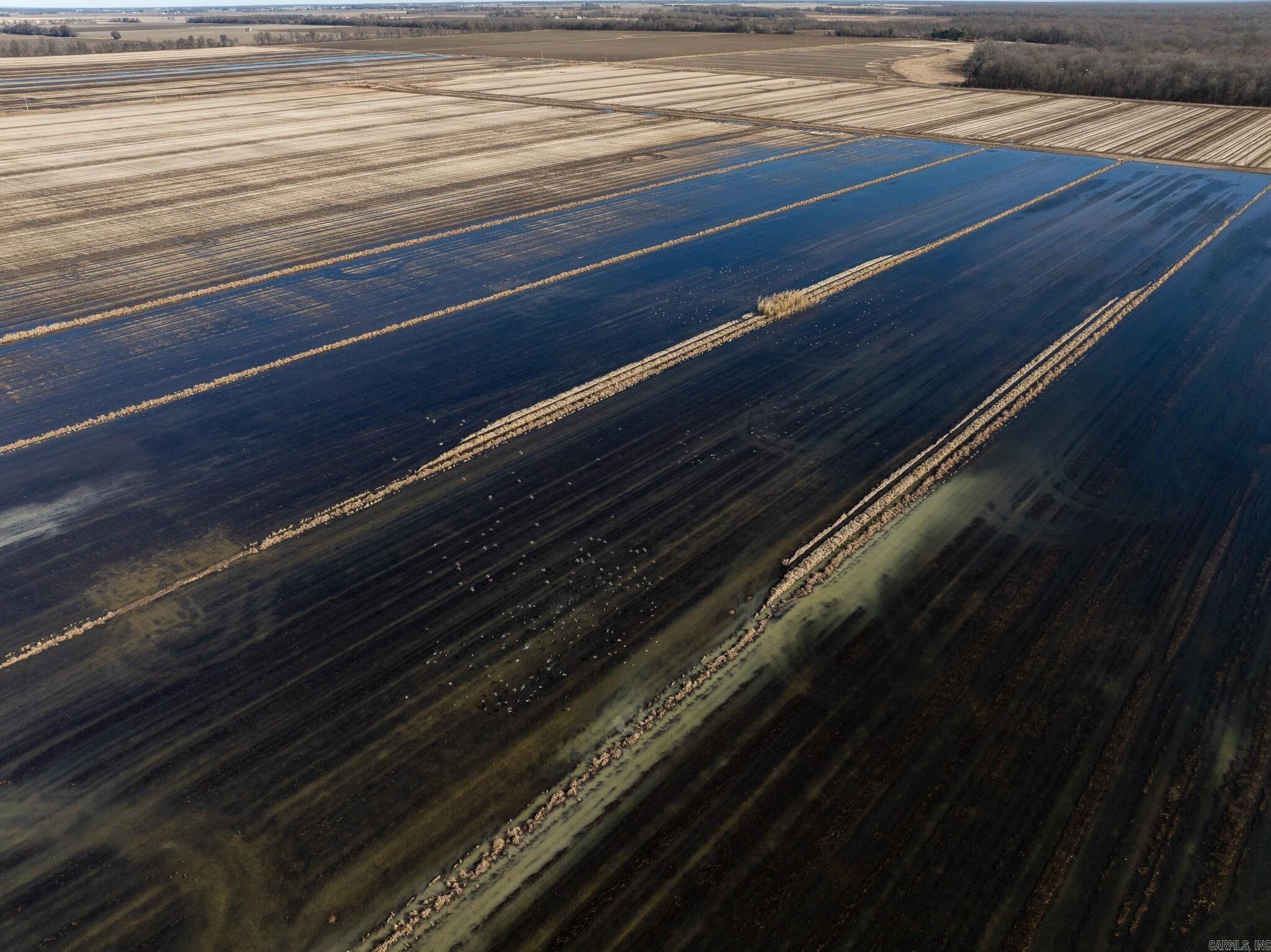 000 County Road 113  Corning, AR