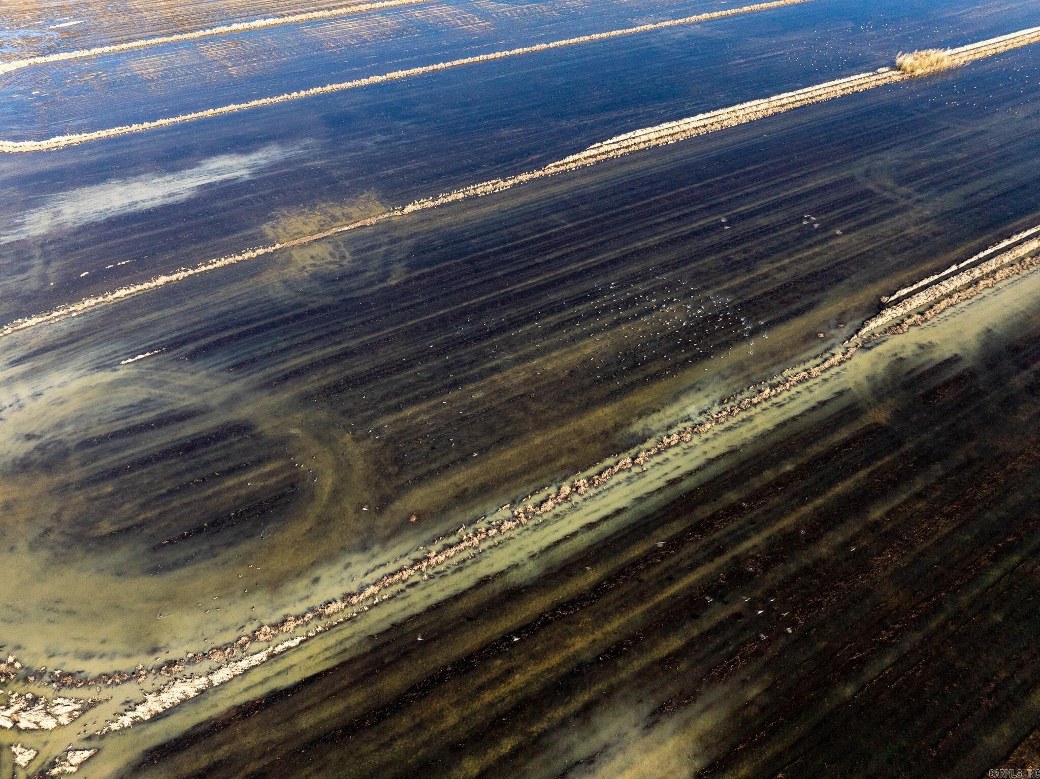 000 County Road 113  Corning, AR