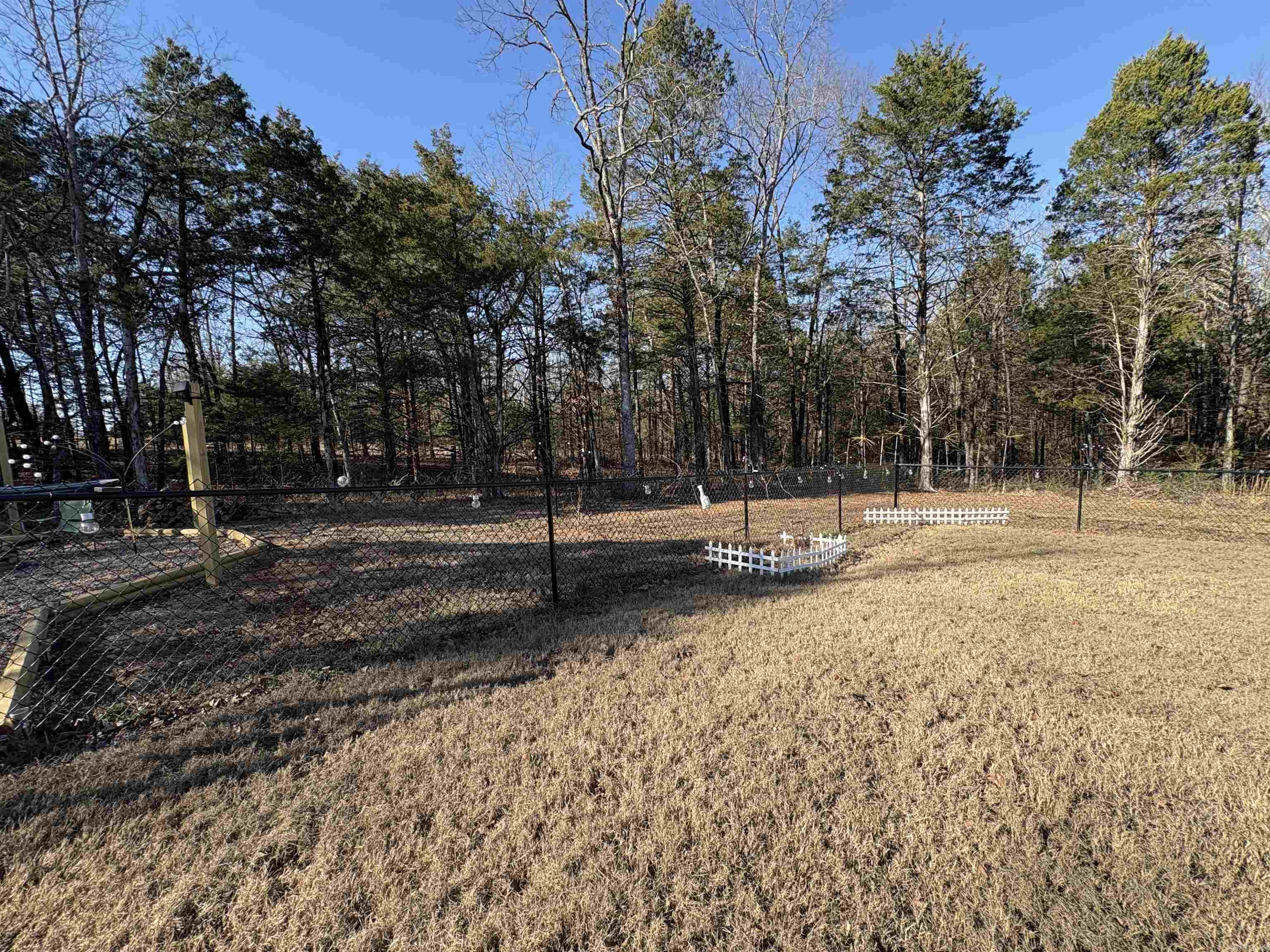 37 Forest  Greenbrier, AR