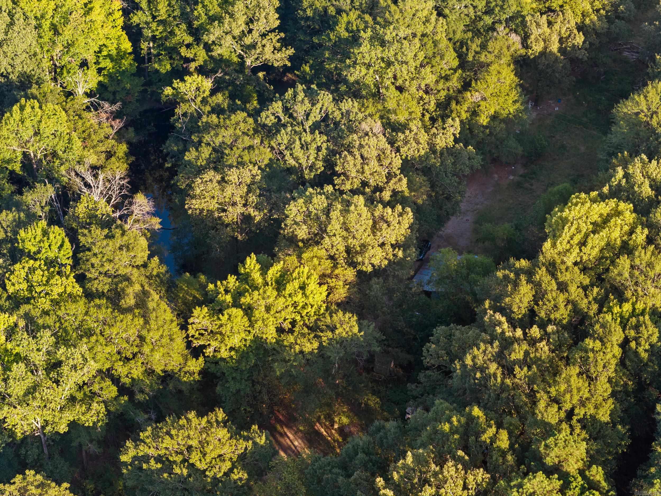 401 S Fourth  Georgetown, AR