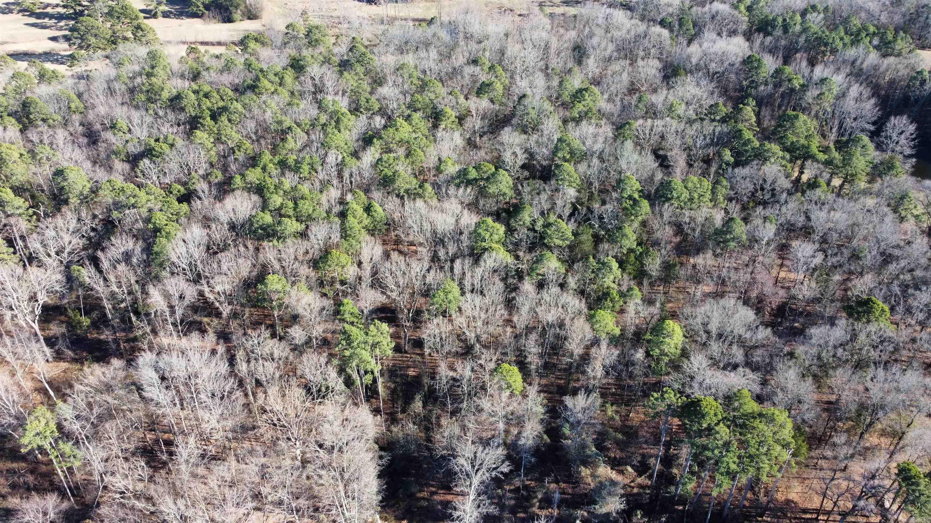 1681 County Road 3800  Lamar, AR