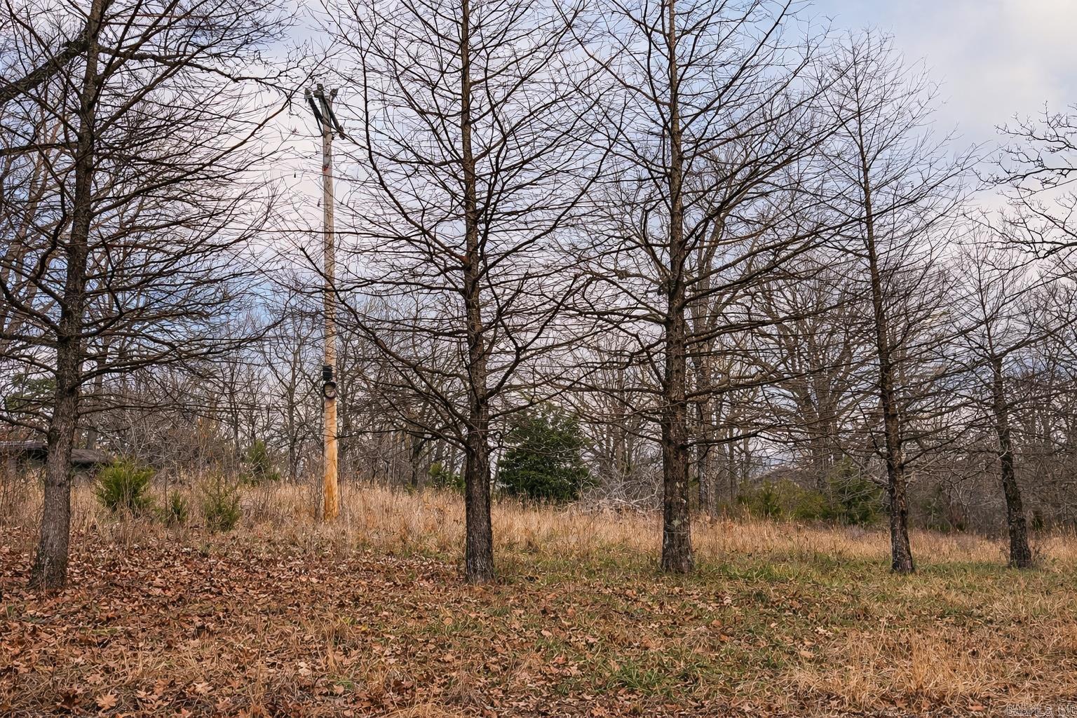 000 Acres Road  Williford, AR