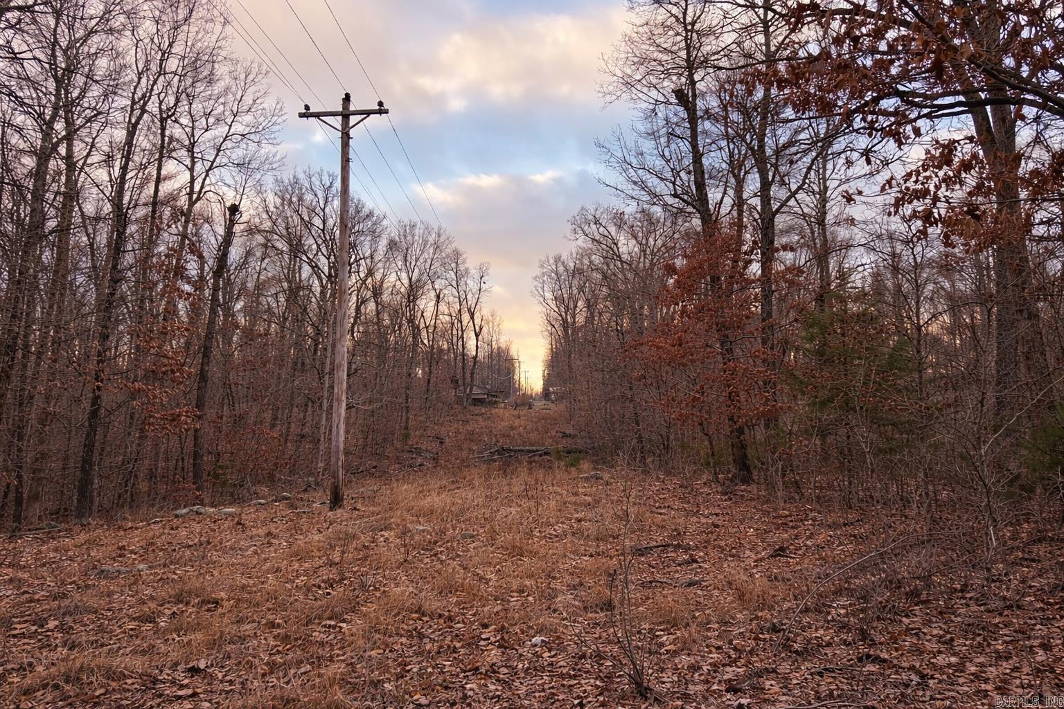 000 Acres Road  Williford, AR