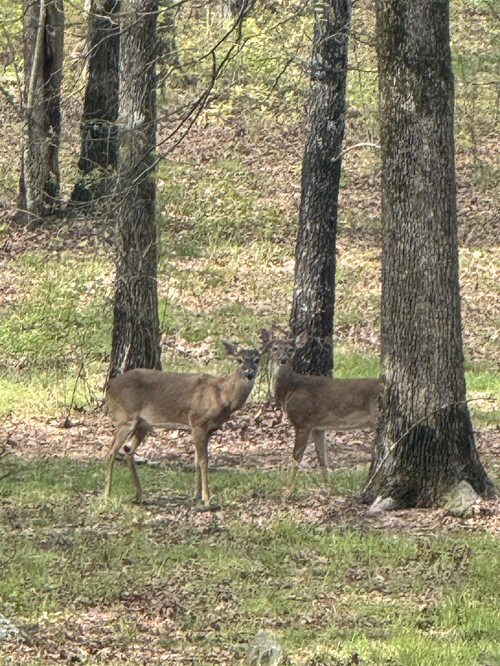 110 Shady Thicket  Little Rock, AR